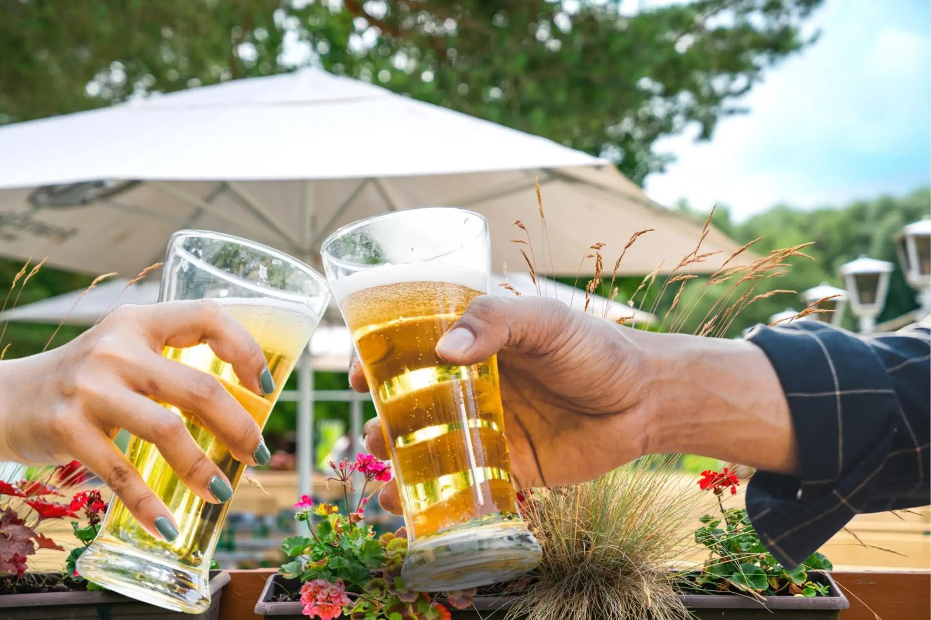 Restaurant/places to eat in AHORN Seehotel Templin Restaurant/places to eat in AHORN Seehotel Templin