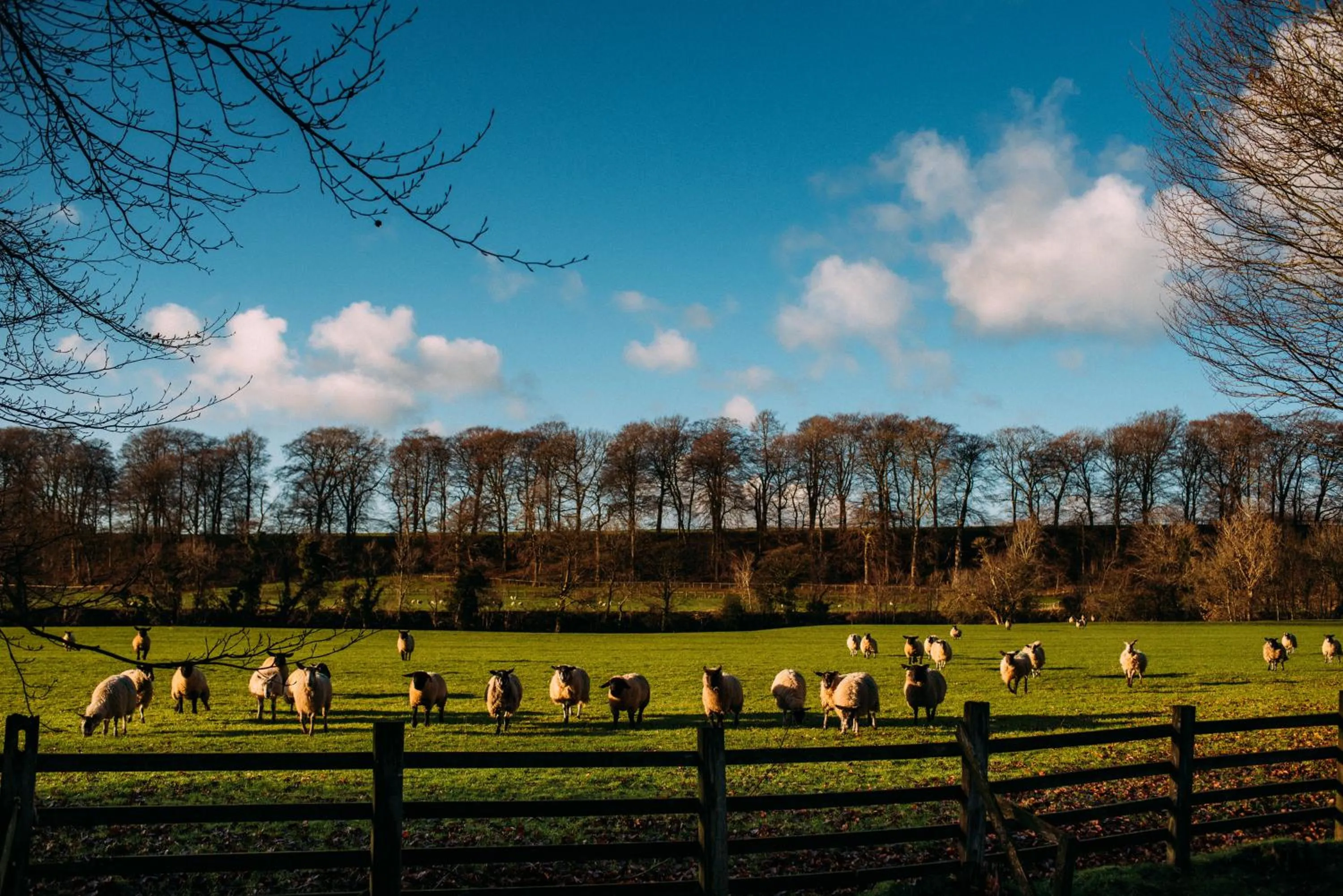 Natural landscape in Mitton Hall Hotel