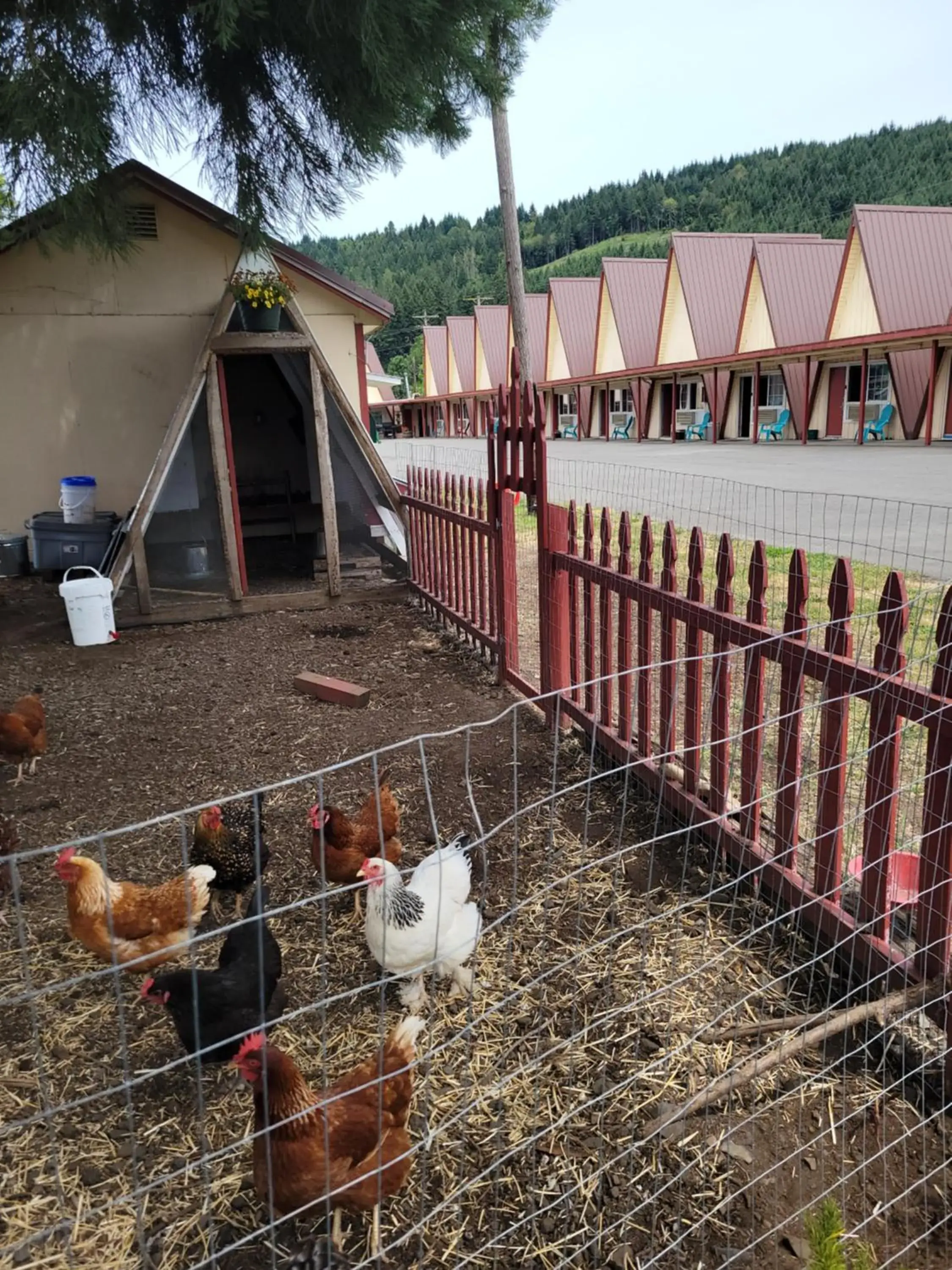Property building in The Ranch Motel Property building in The Ranch Motel