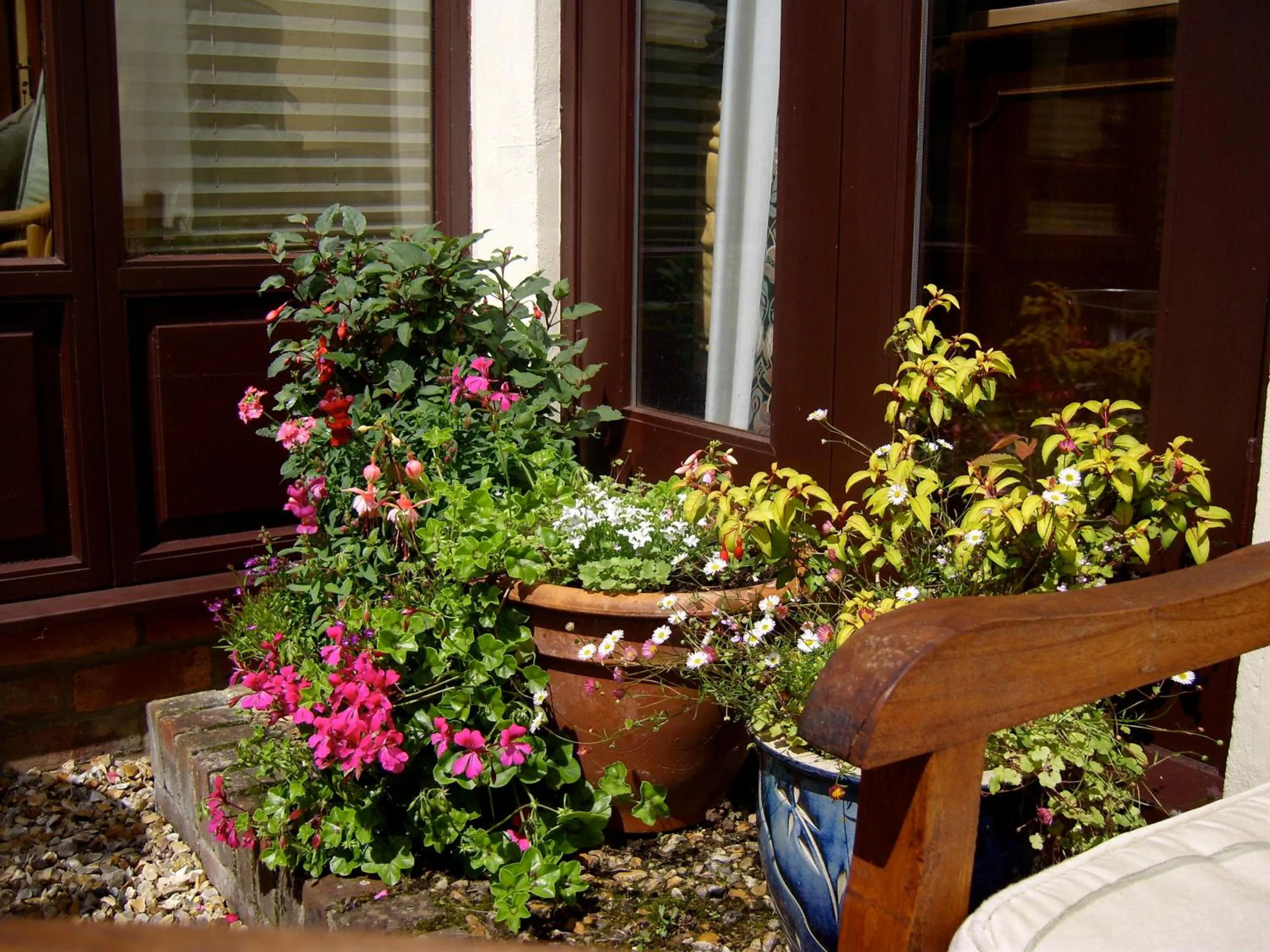 Garden in Weston Cottage