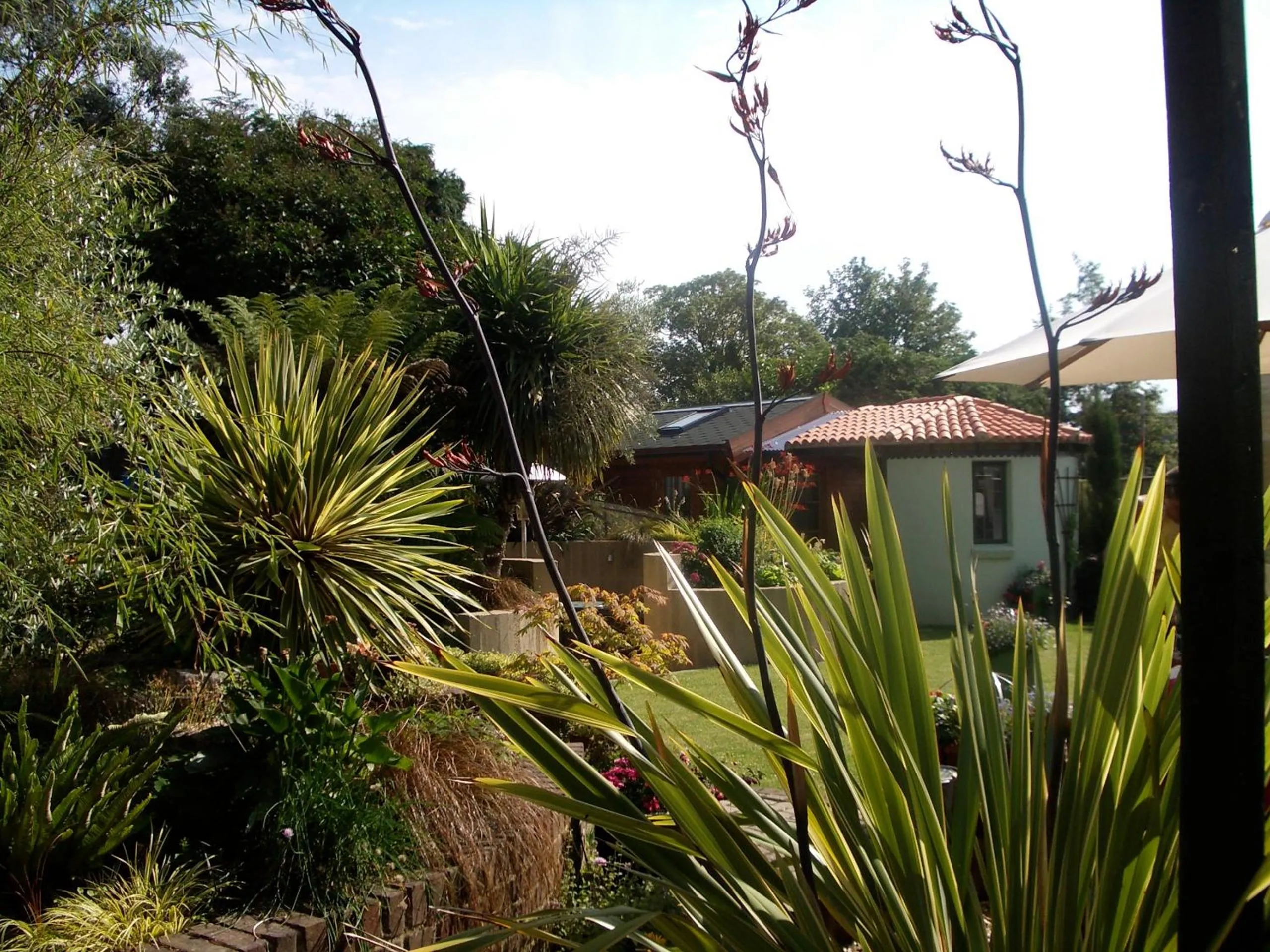 Garden in Weston Cottage