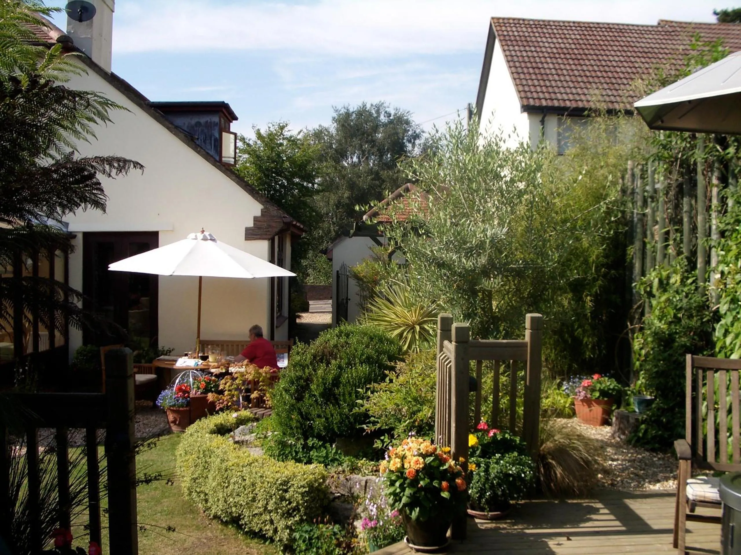 Garden in Weston Cottage