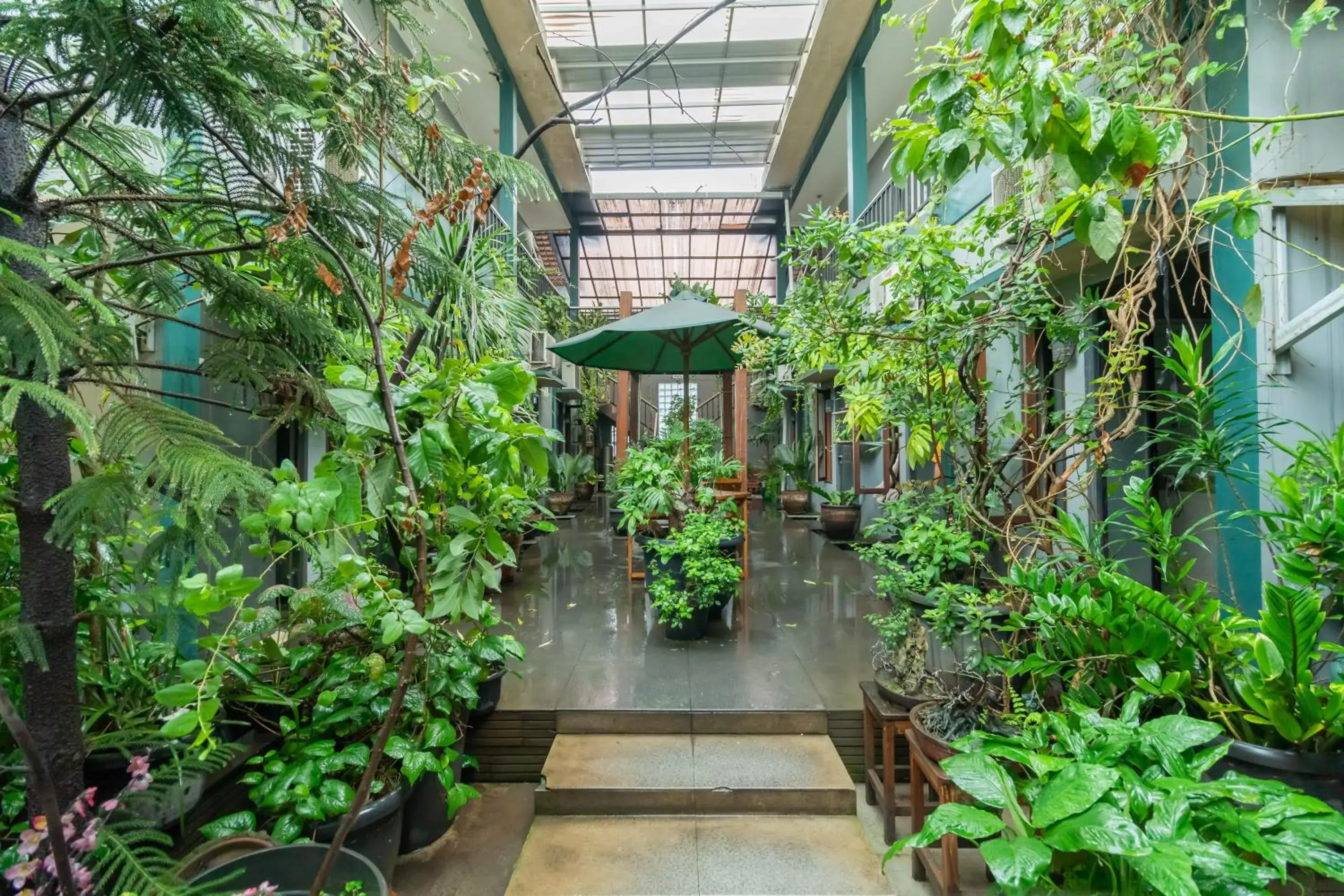 Garden in Safaraz Garden near Galaxy Bekasi Mitra RedDoorz Garden in Safaraz Garden near Galaxy Bekasi Mitra RedDoorz