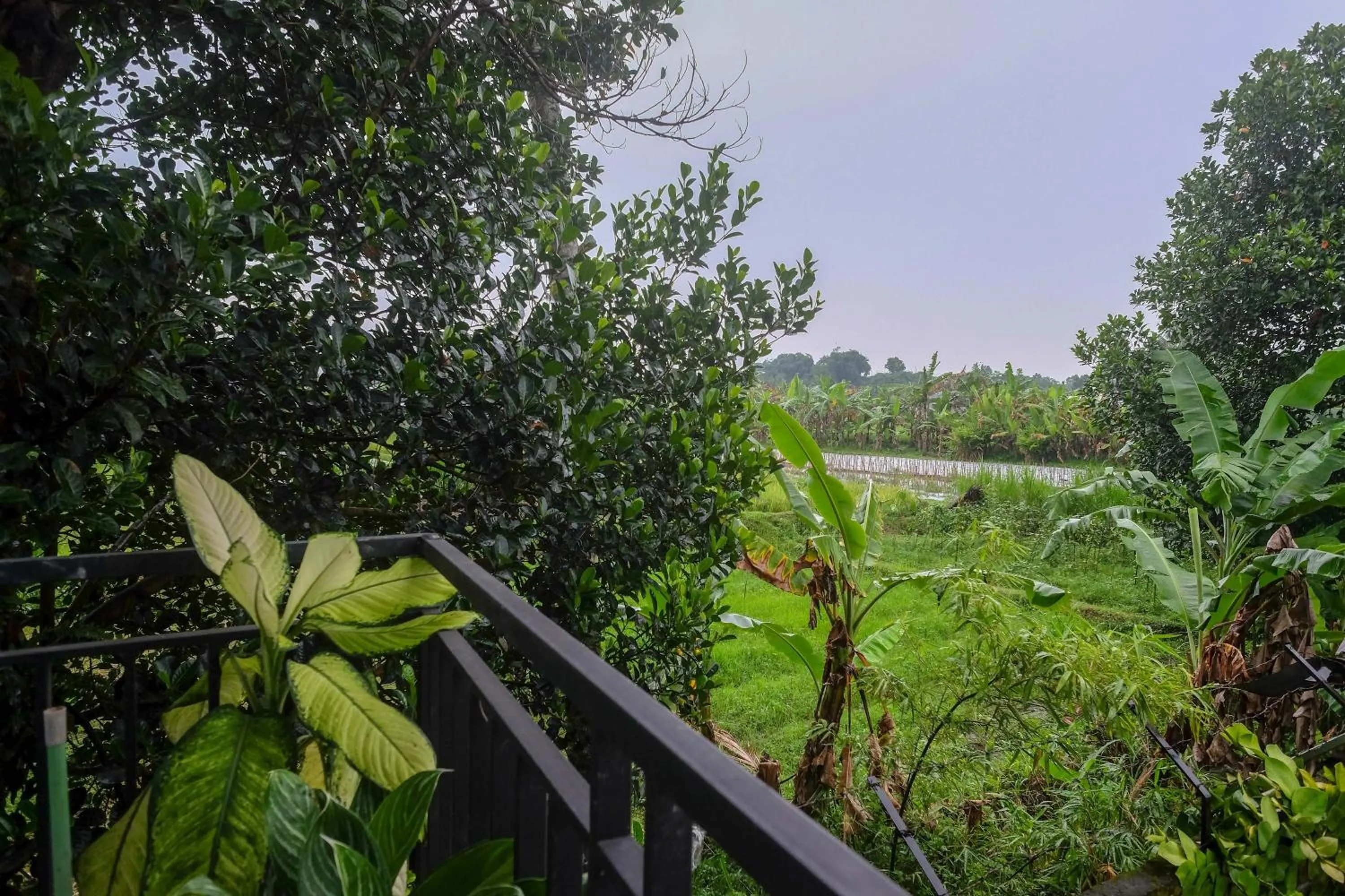 Property building in RedDoorz At Pondok Eyang Obi Sleman