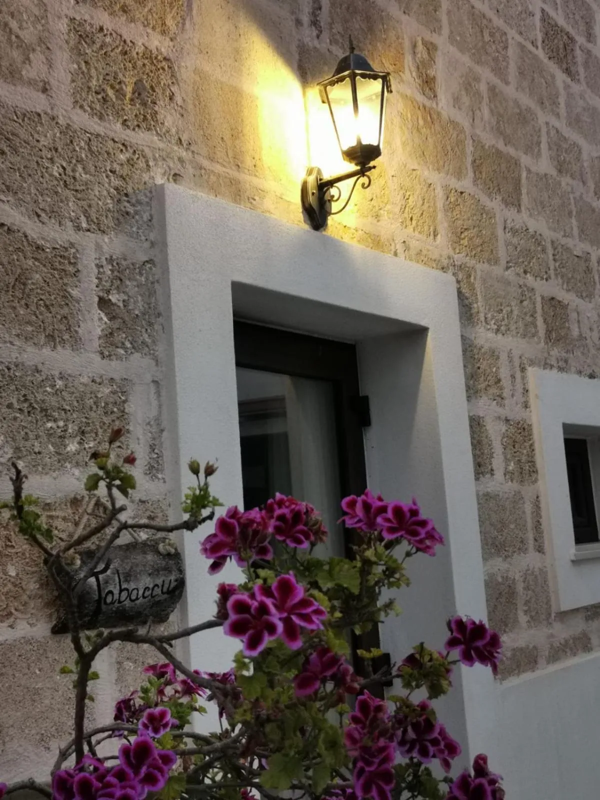 Property building in Anna 1924