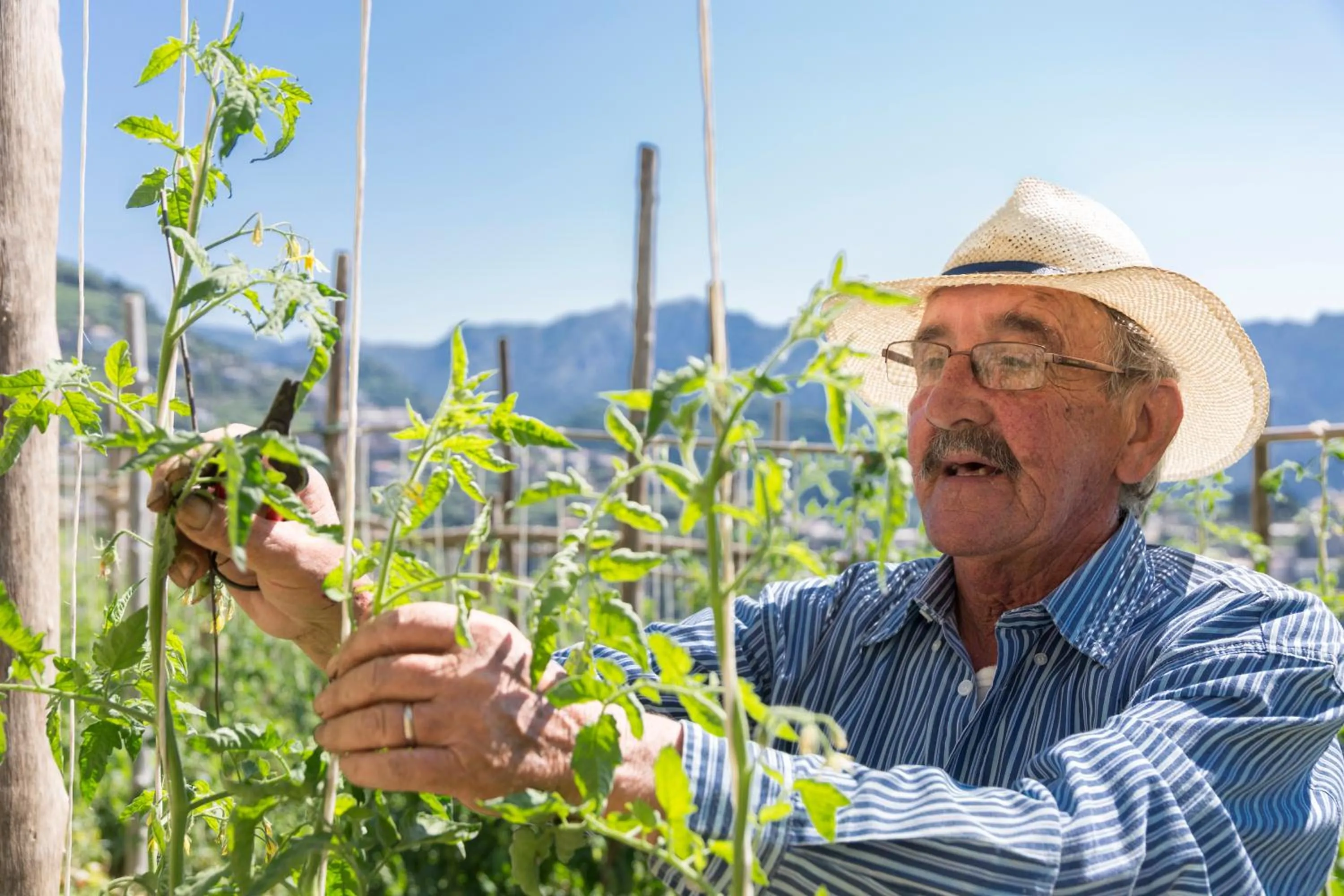 Garden in HOTEL ZI'NTONIO