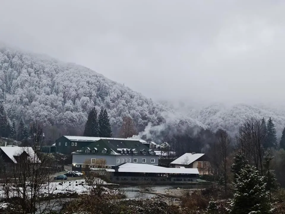 Natural landscape in HOTEL HO2 POIANA MARULUI