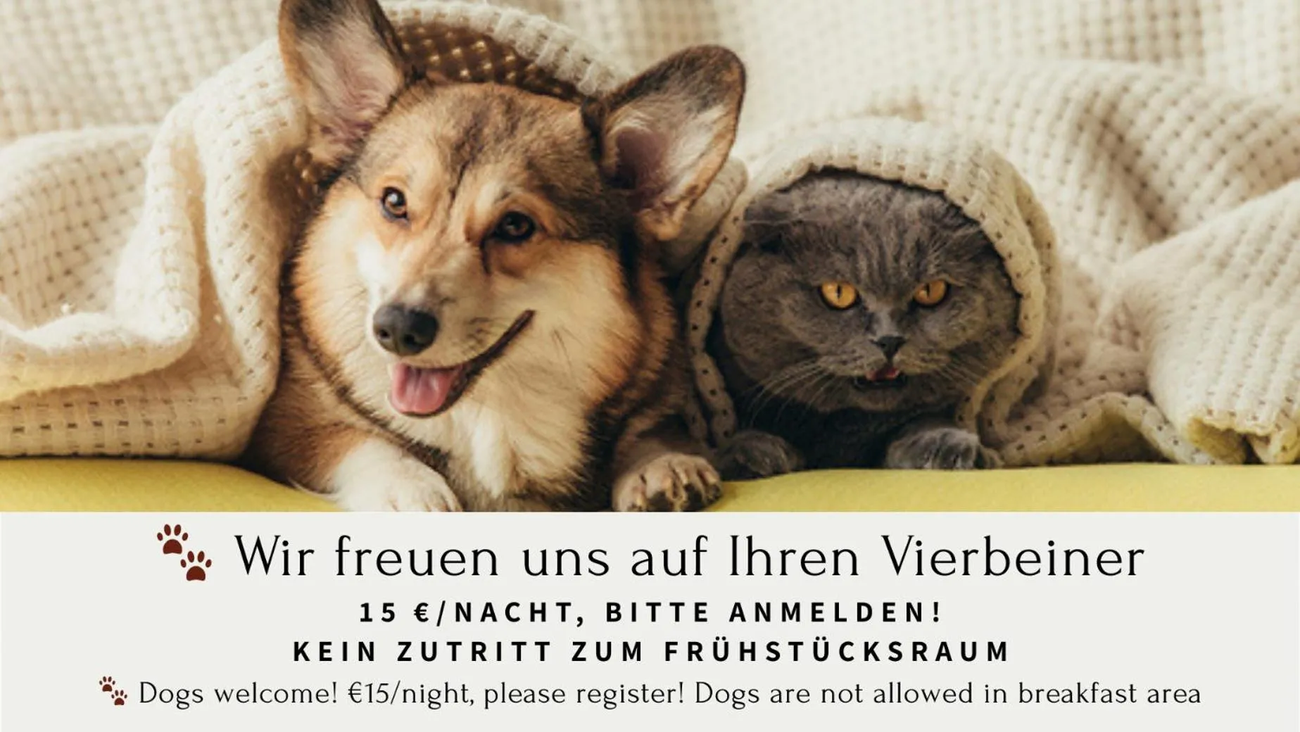 pet friendly in Ambient Hotel am Europakanal