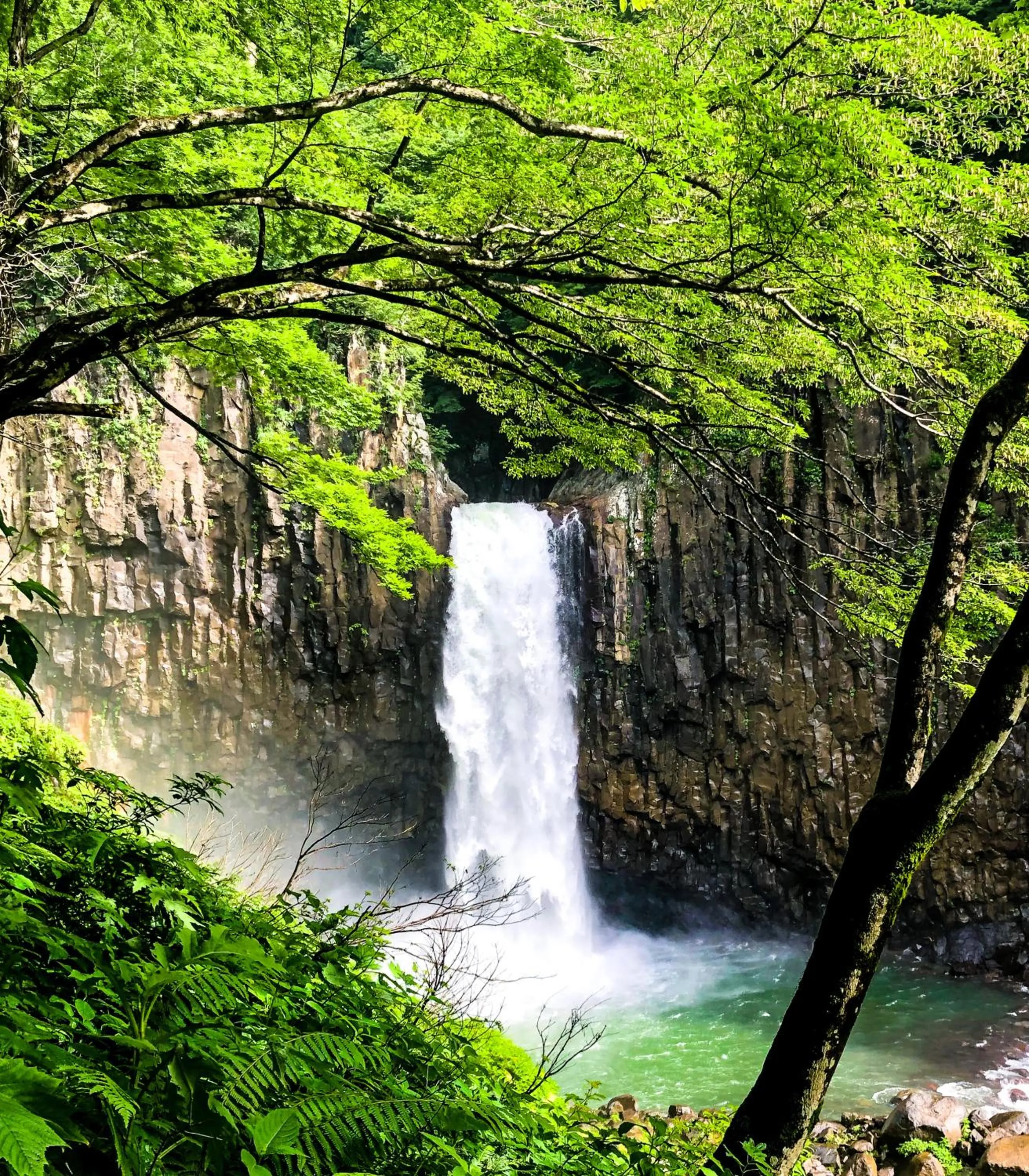 Natural landscape in Red Fox Lodge Myoko