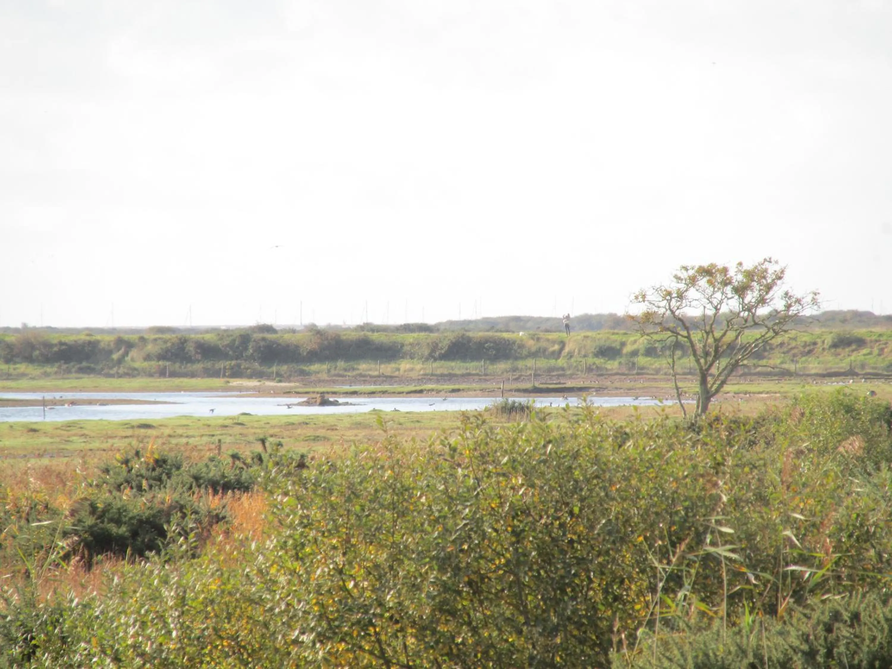 Natural landscape in Albertine