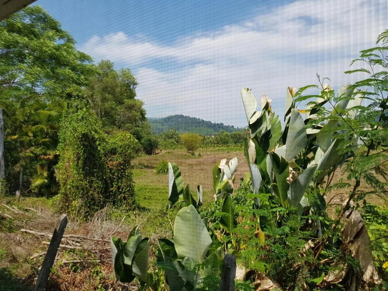 View (from property/room) in Nestvilla Khok-kloi Phang-nga