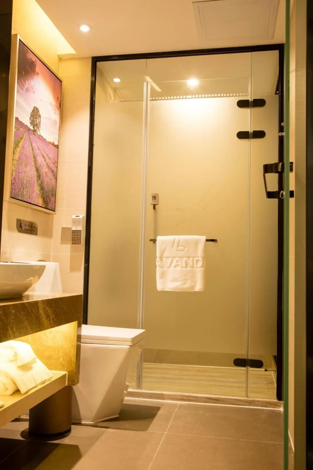 Lavande Hotels·Shenzhen North Railway Station Bantian Metro Station