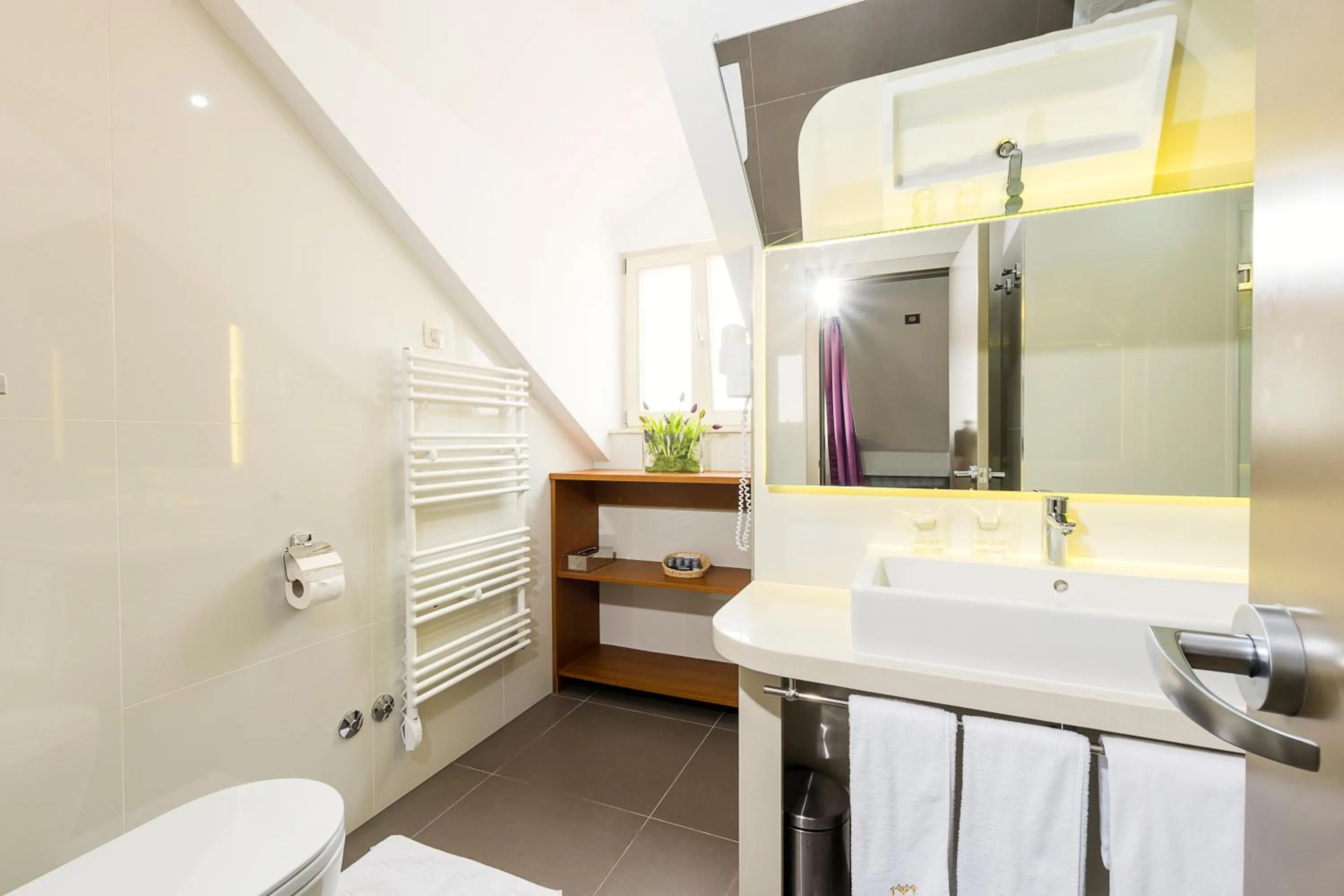 Toilet in Hotel Marul