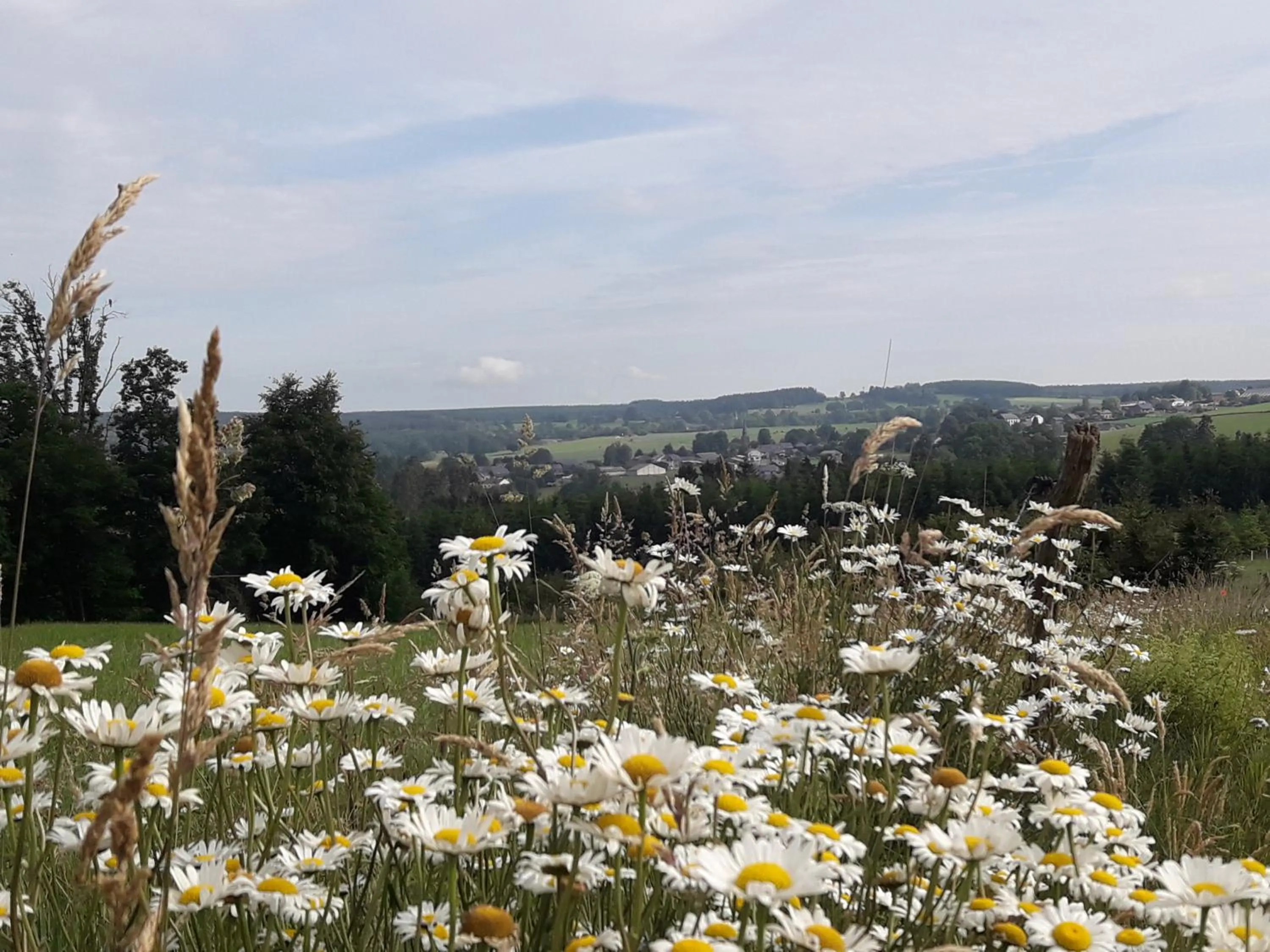 City view in La Vie en Rose hotel
