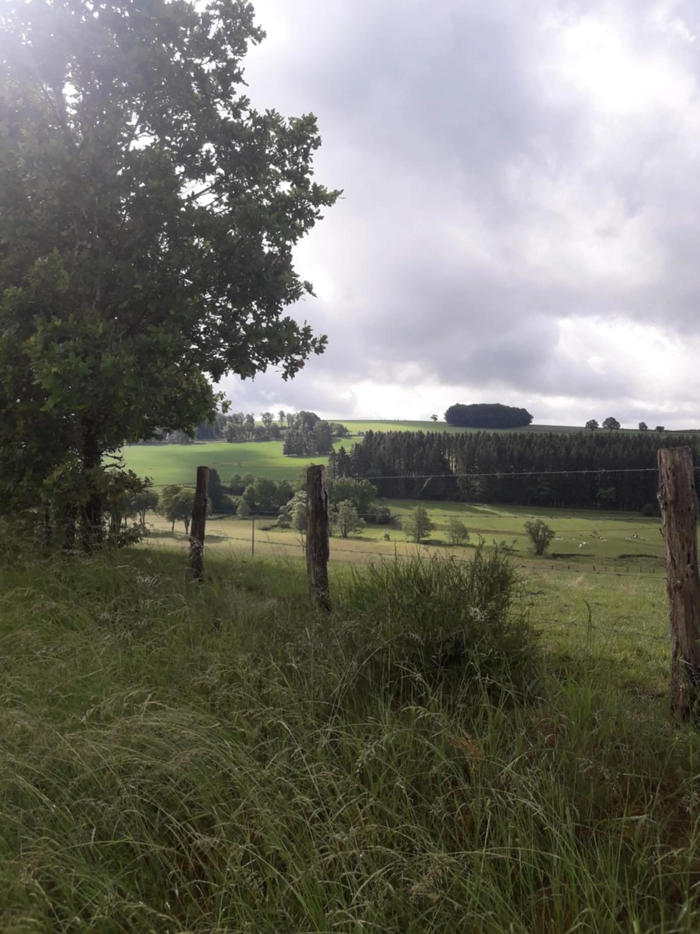 Natural landscape in La Vie en Rose hotel