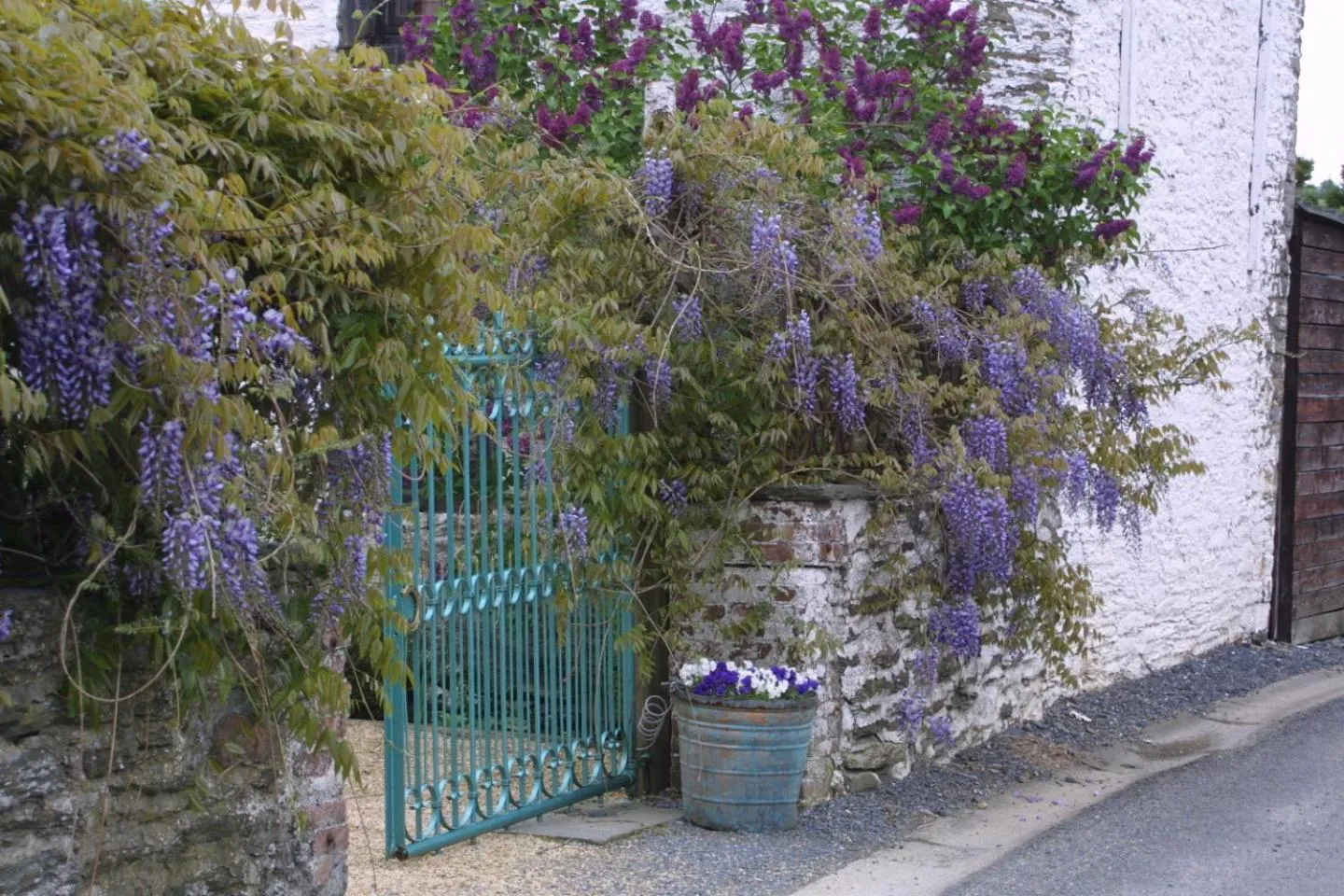 Property building in La Vie en Rose hotel