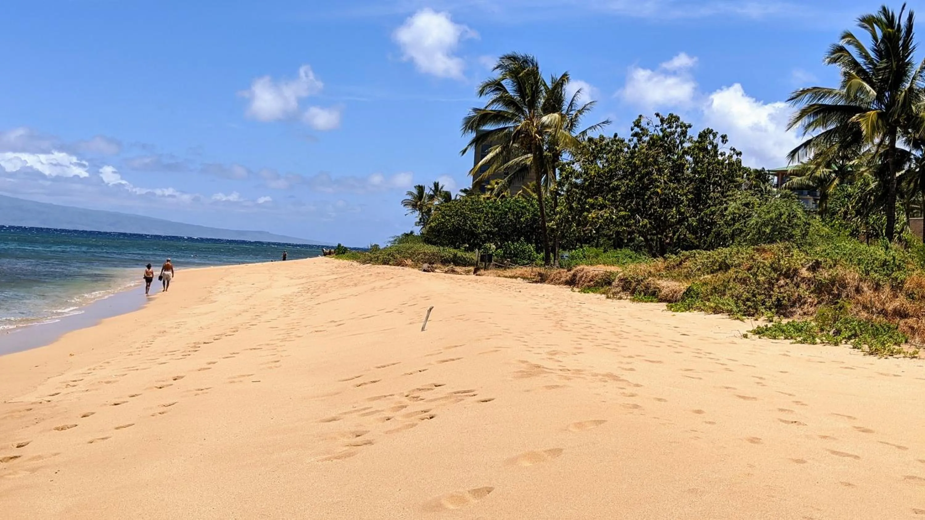 Maui Westside Presents - Luana garden Villa 8B