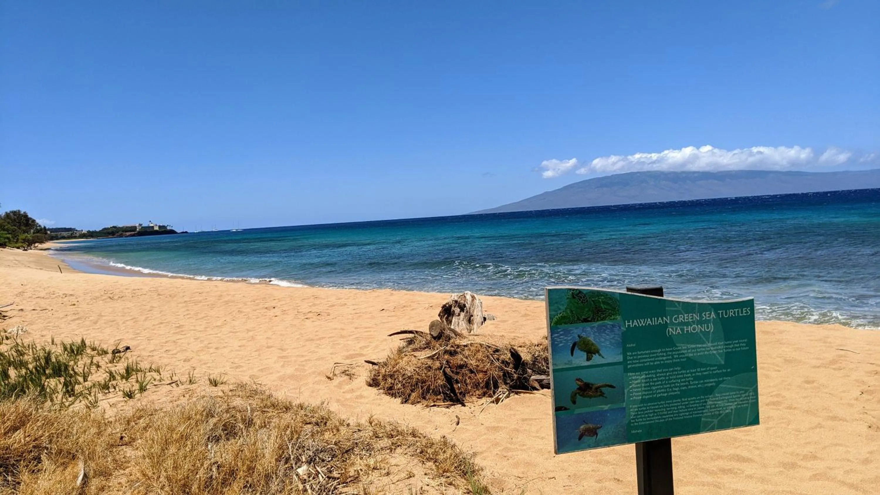 Maui Westside Presents - Luana garden Villa 8B