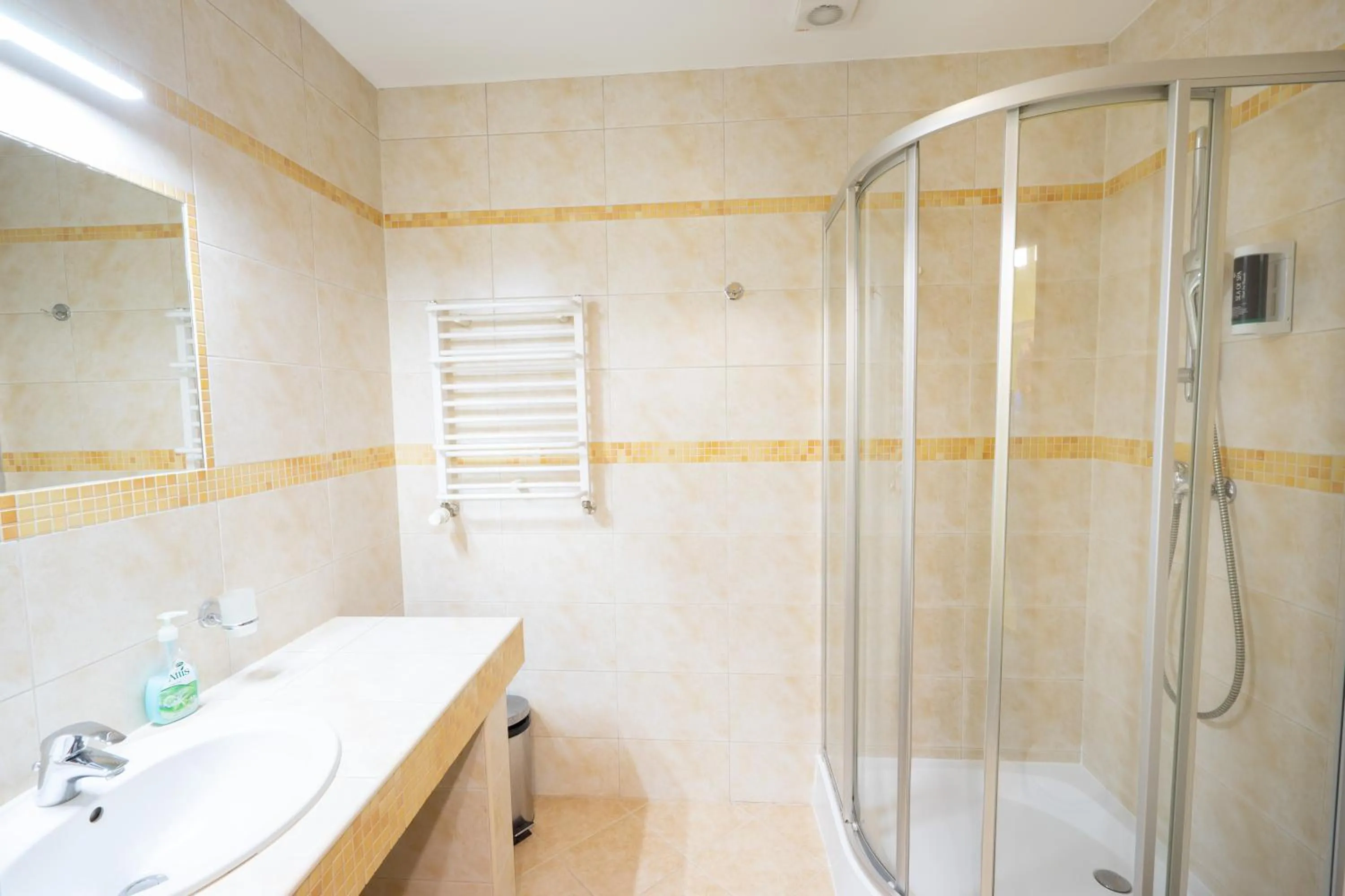 Bathroom in Willa Monte Rosa