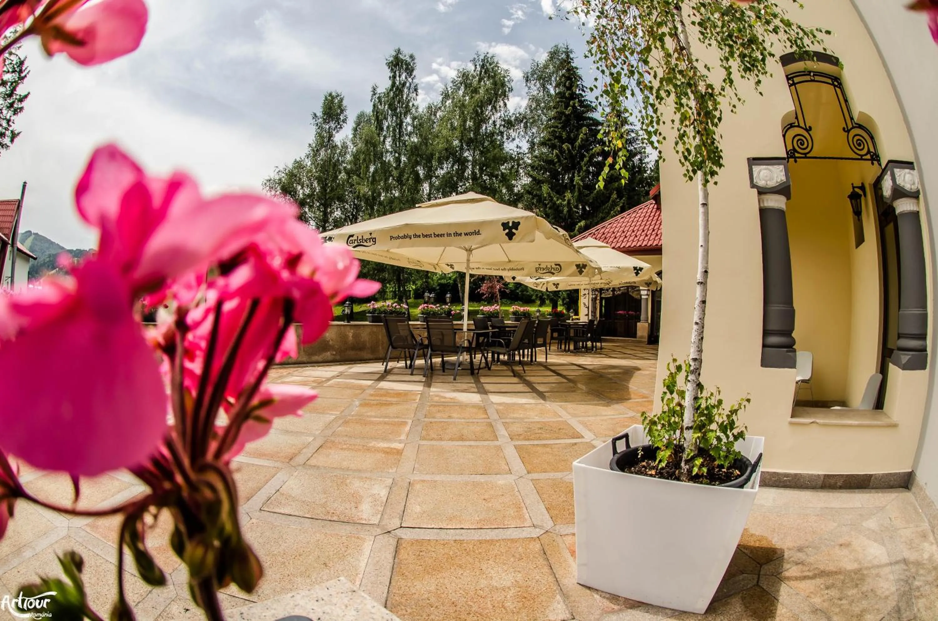 Dining area in Hotel Bulevard Predeal