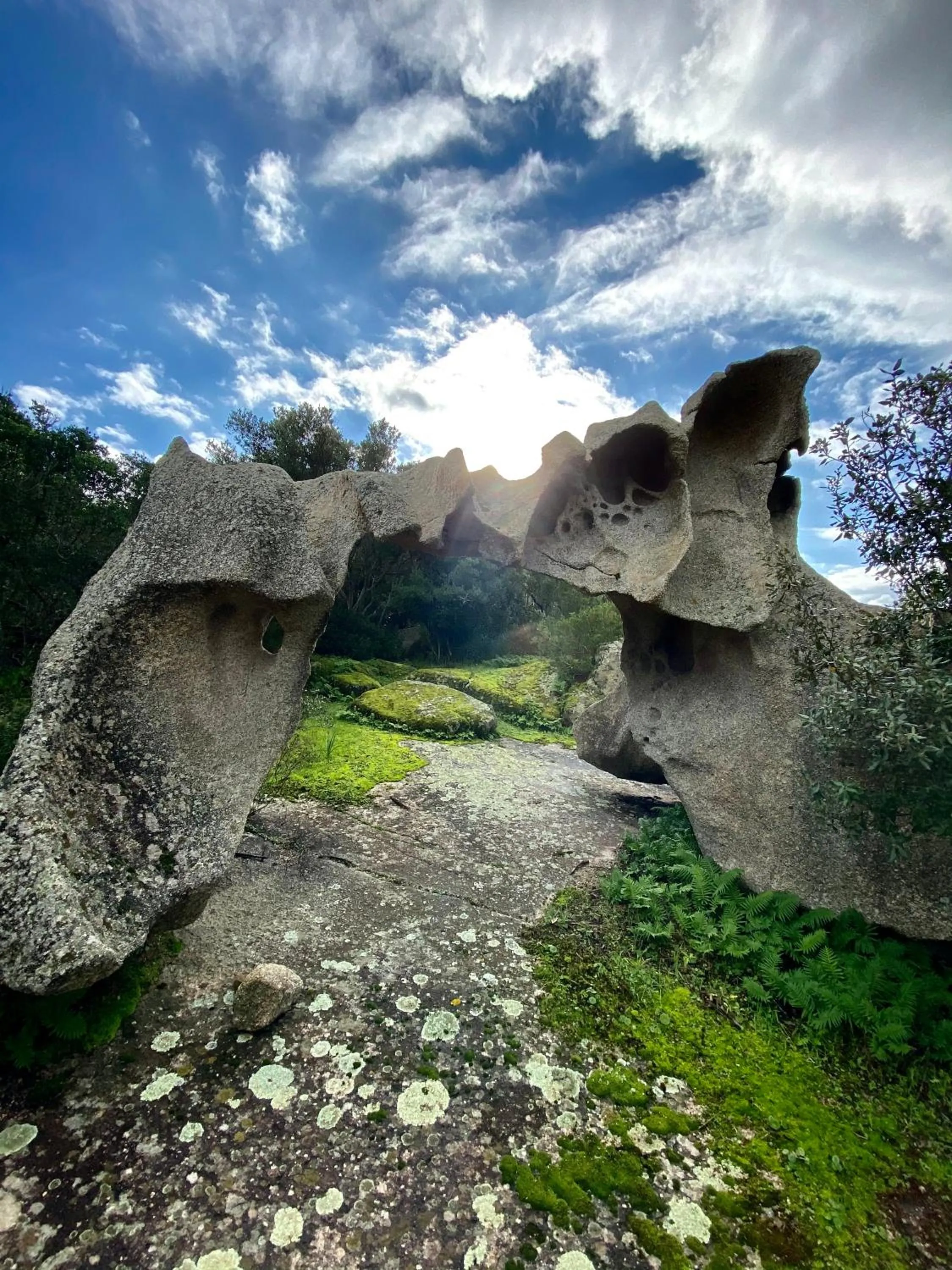 Natural landscape in Agriturismo Lu Branu
