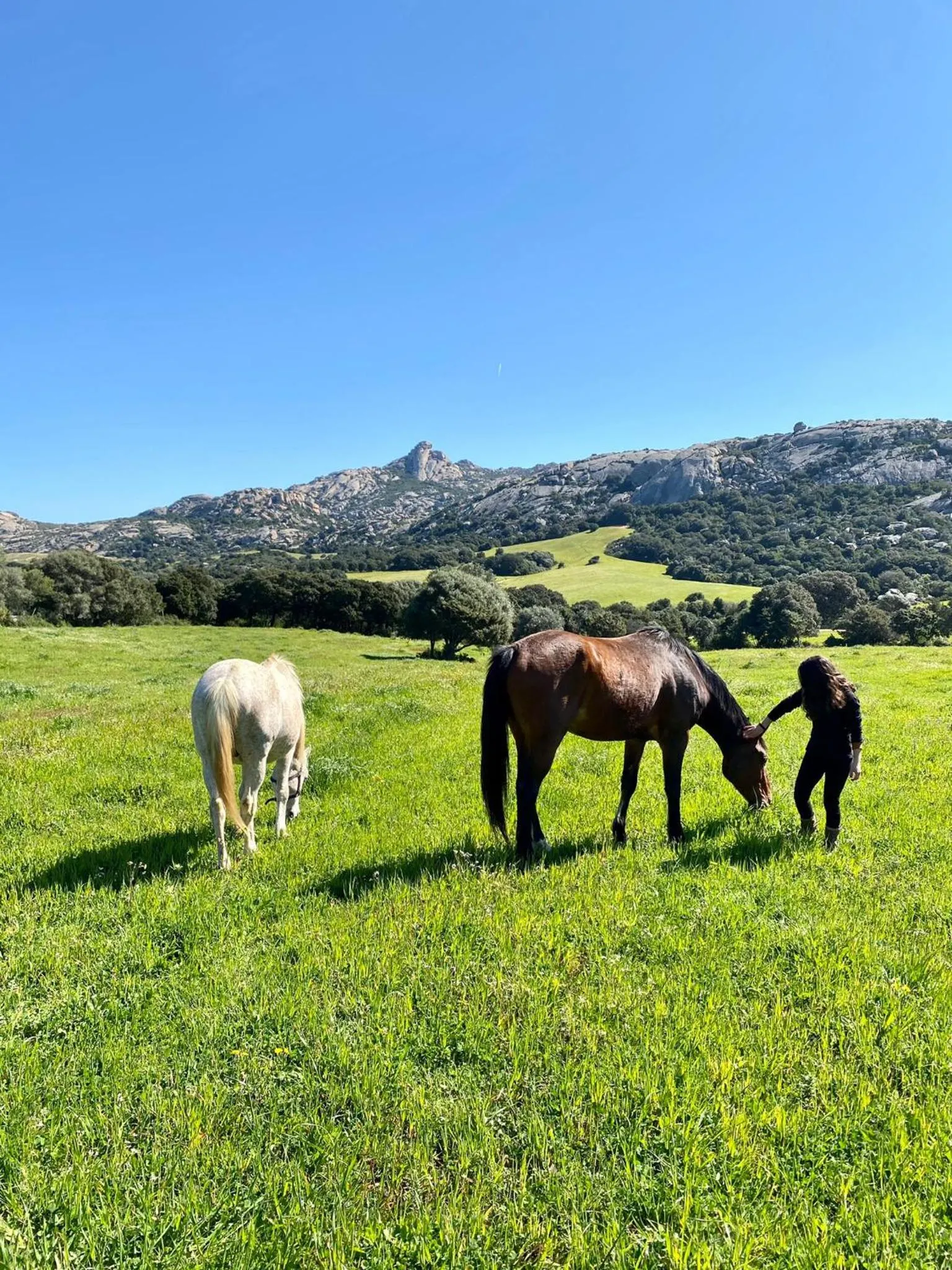 Animals in Agriturismo Lu Branu