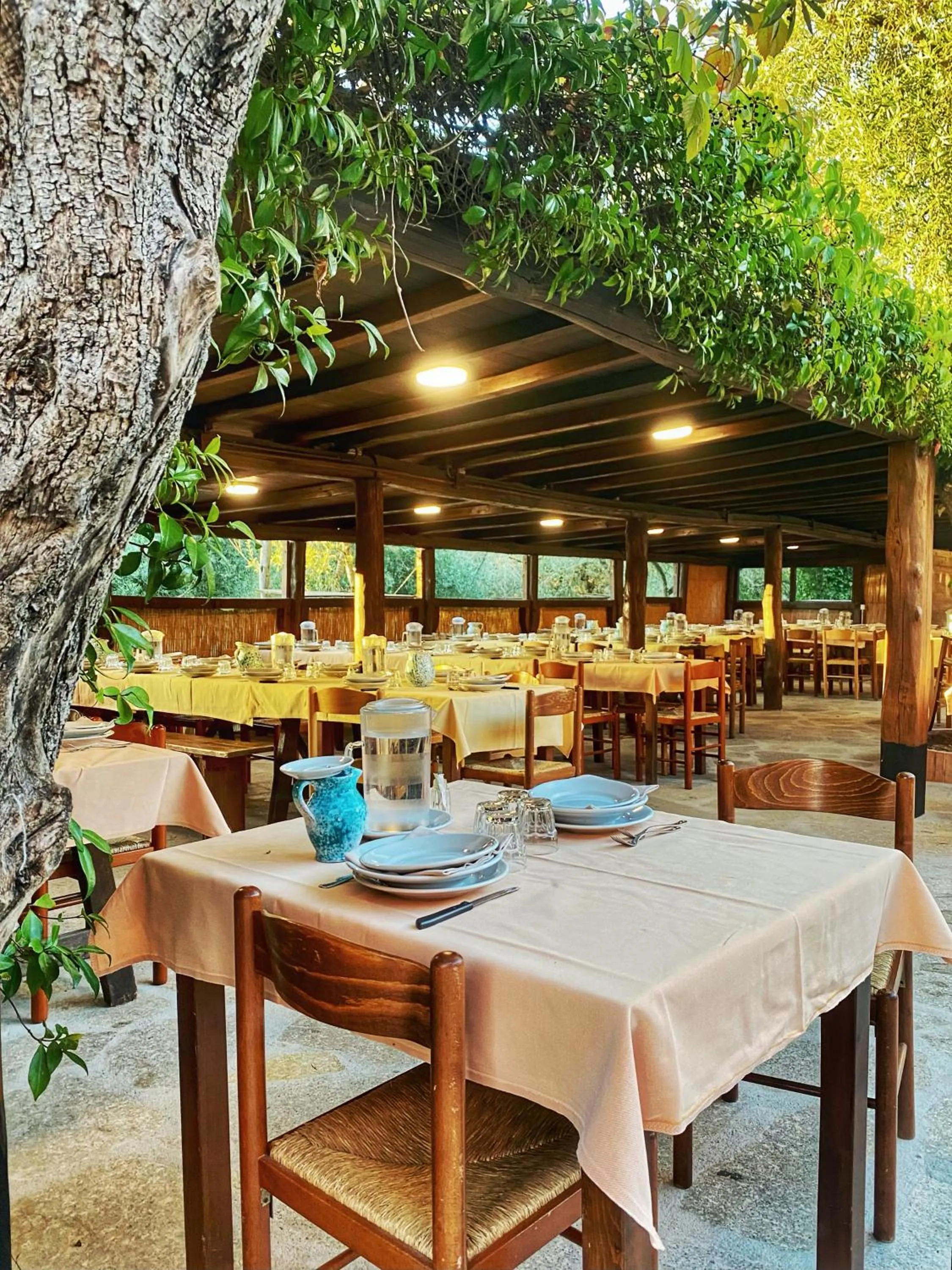 Restaurant/places to eat in Agriturismo Lu Branu