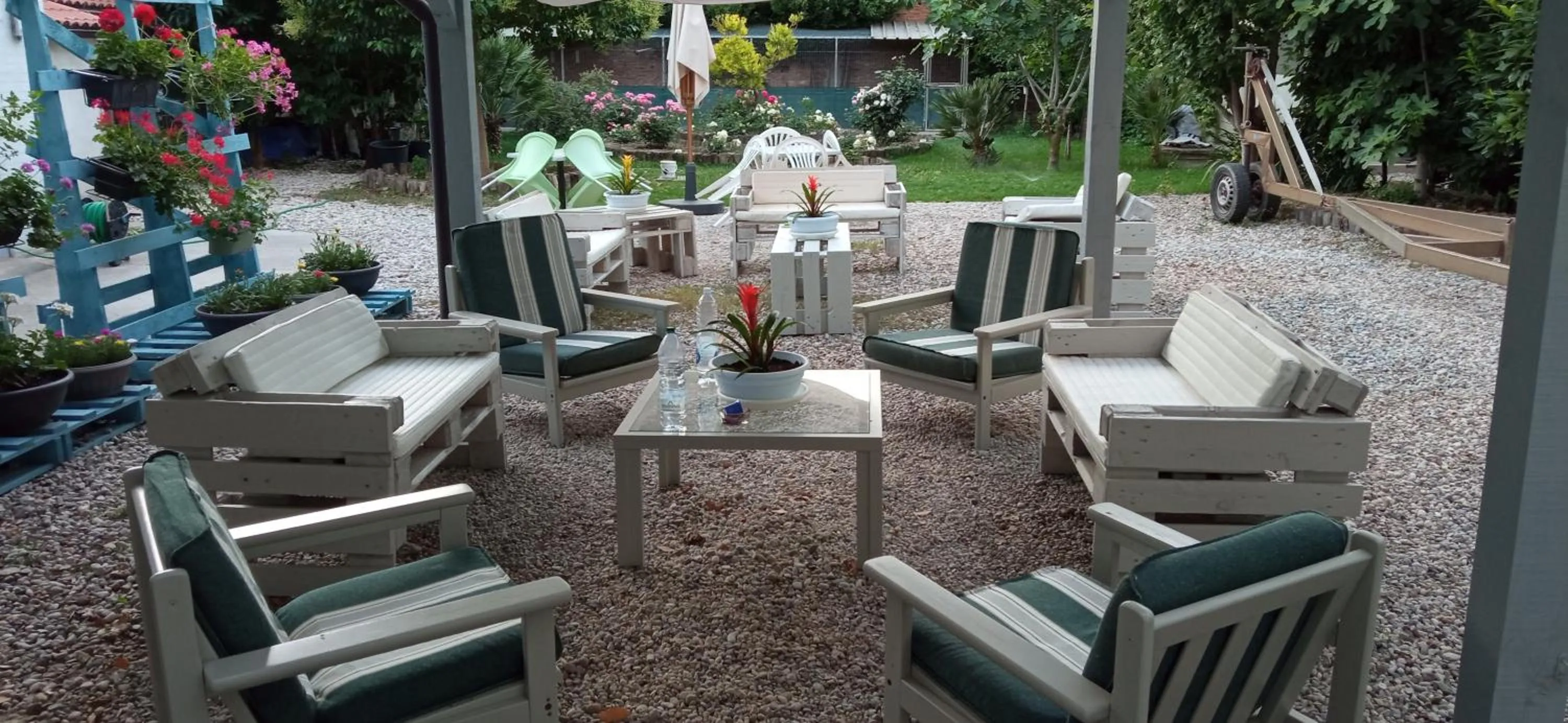 Garden in Ad Astra Rooms