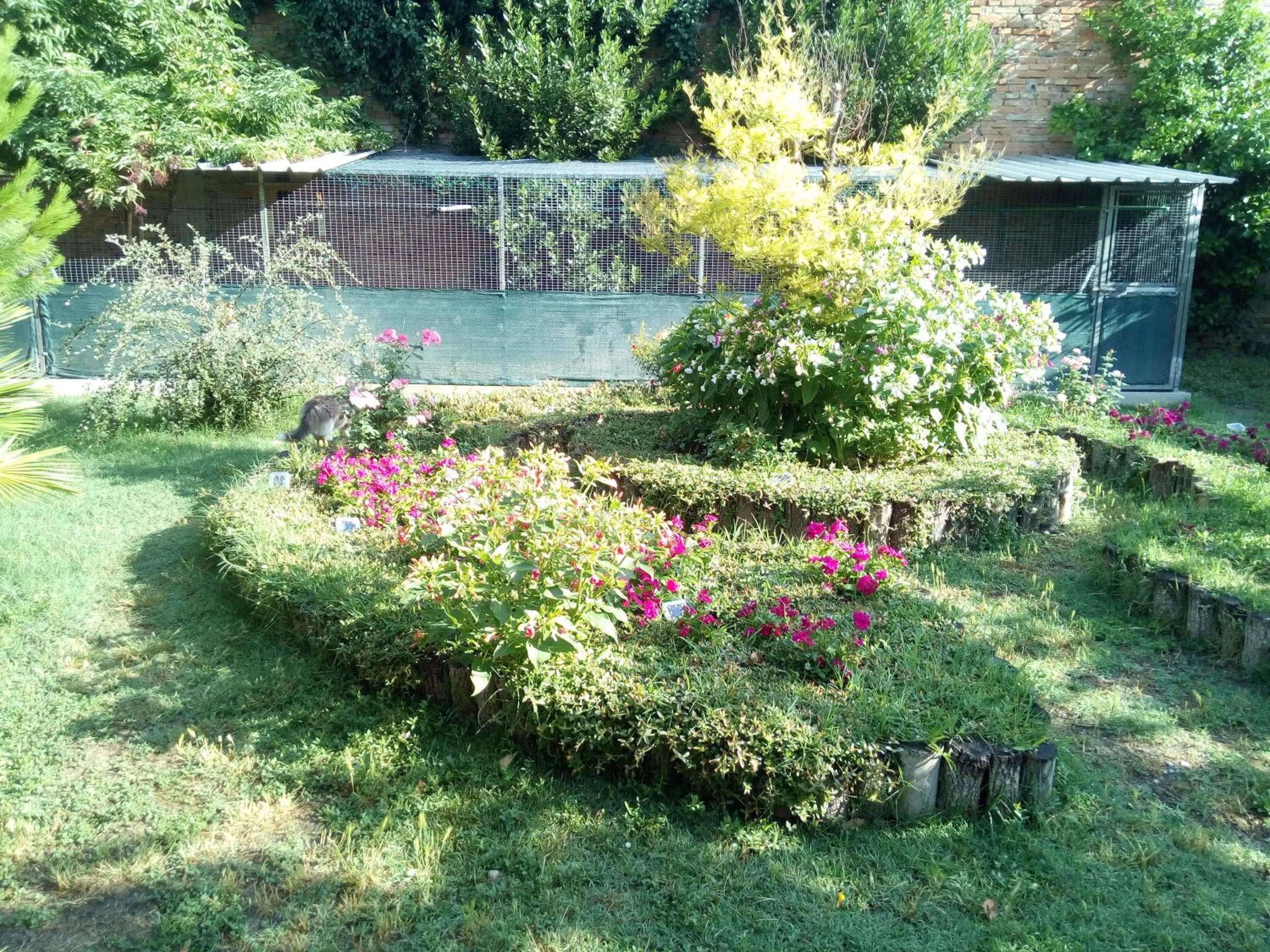 Property building in Ad Astra Rooms