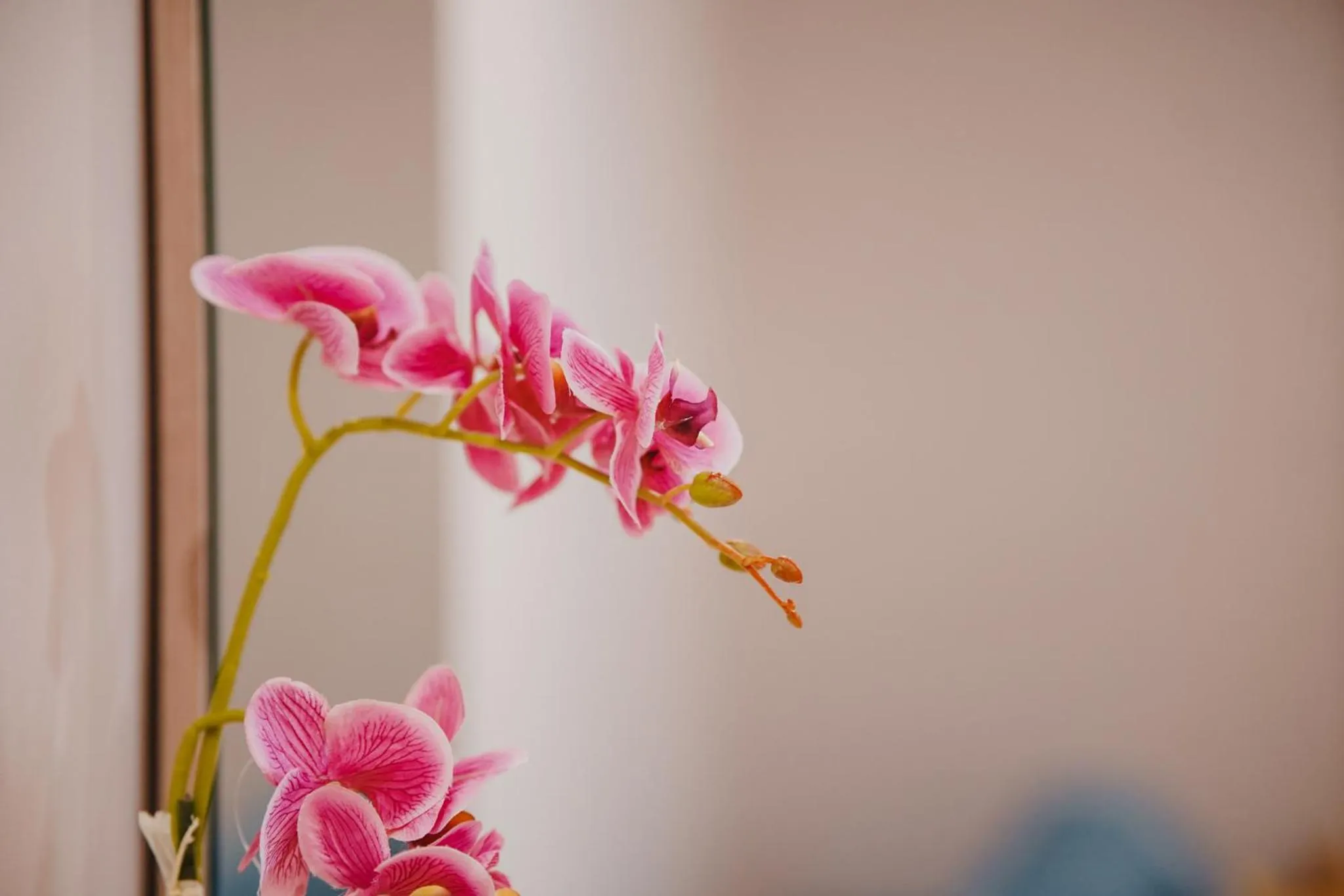 Decorative detail in Himara 28 Hotel