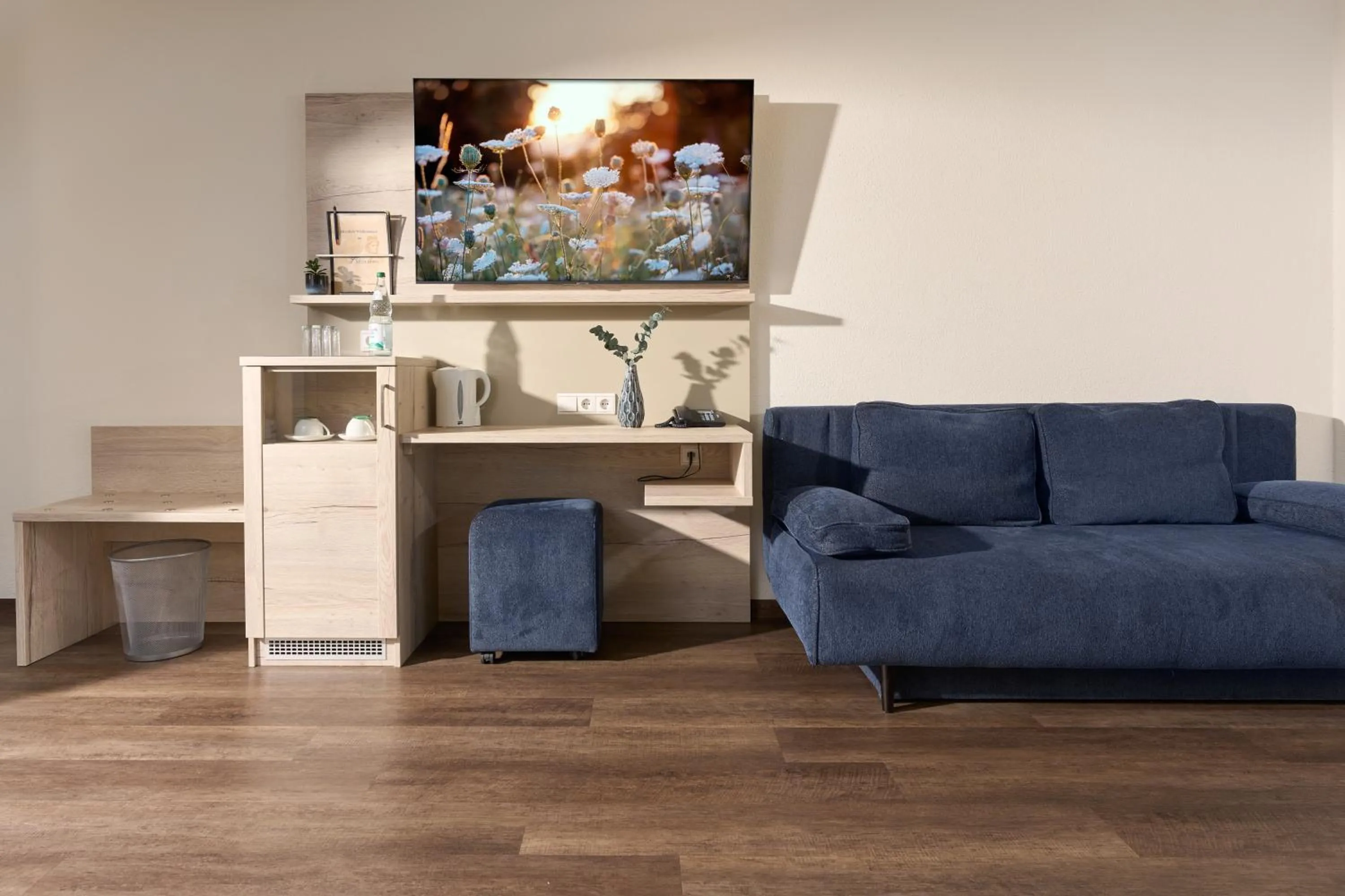 TV and multimedia in Hotel Apollon Rust