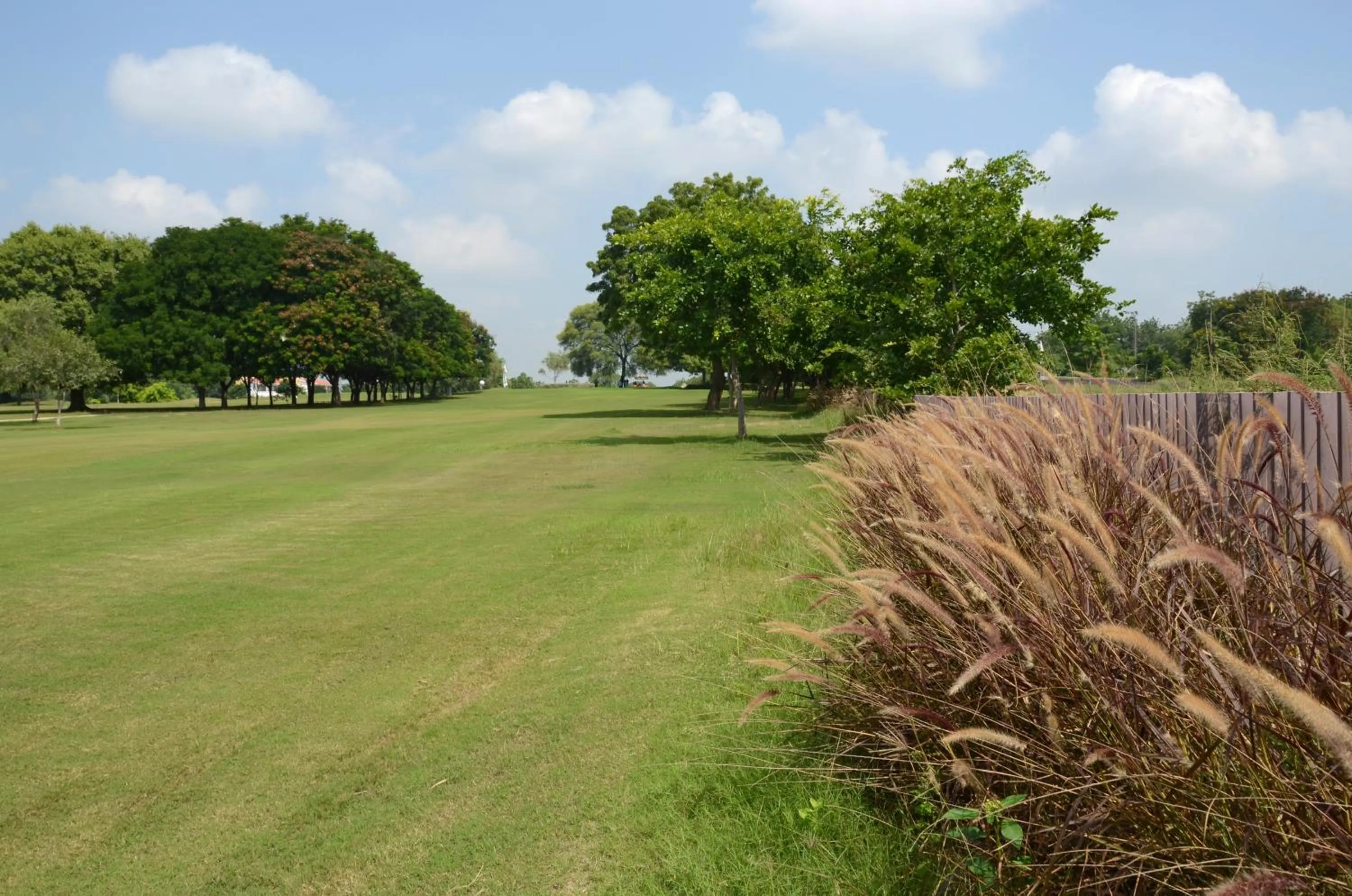 Natural landscape in Club Mahindra Kensville