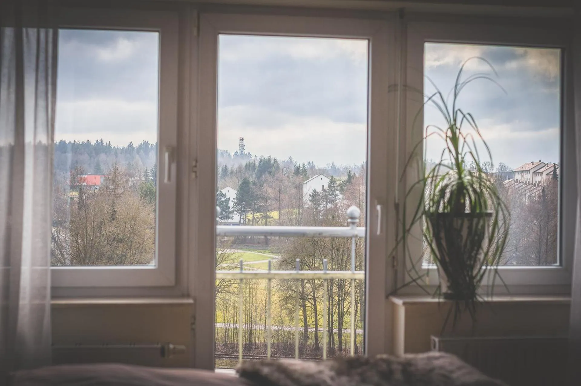 Day in Rebgarten Hotel Adler