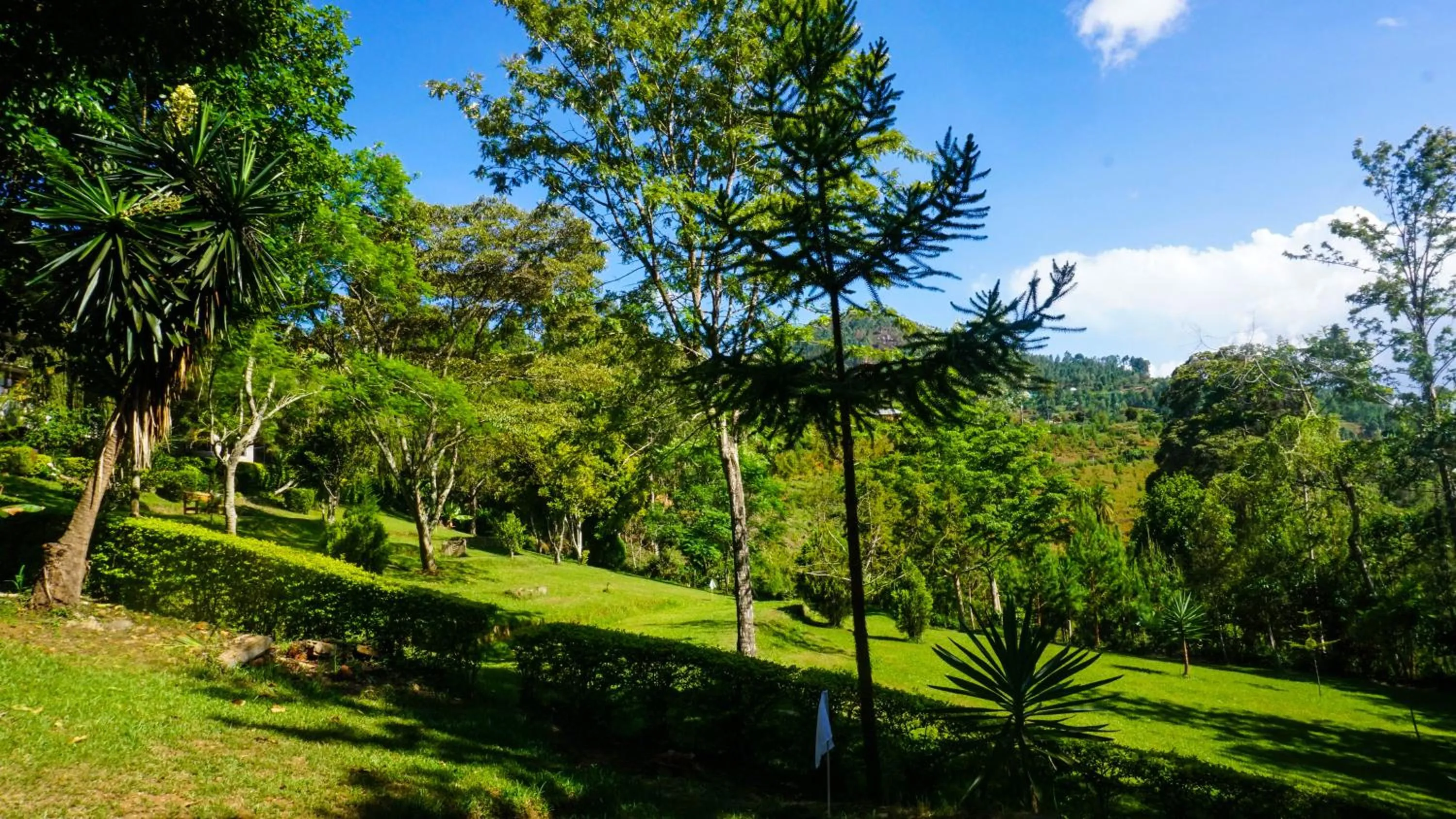 Restaurant/places to eat in LUSHOTO EXECUTIVE LODGE