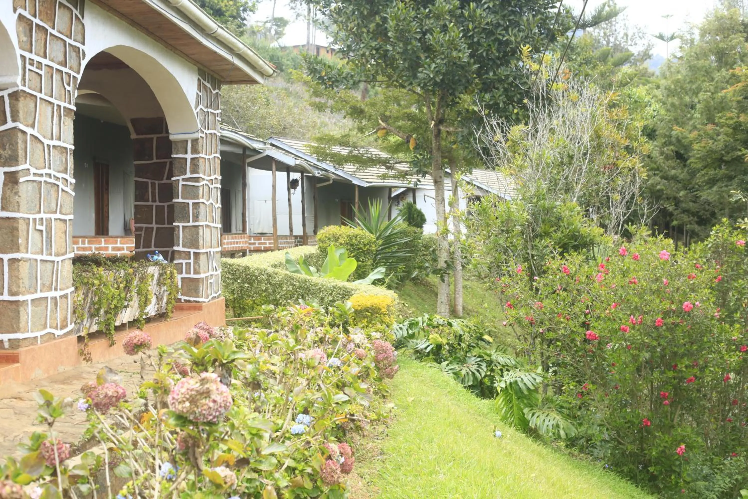 Garden in LUSHOTO EXECUTIVE LODGE