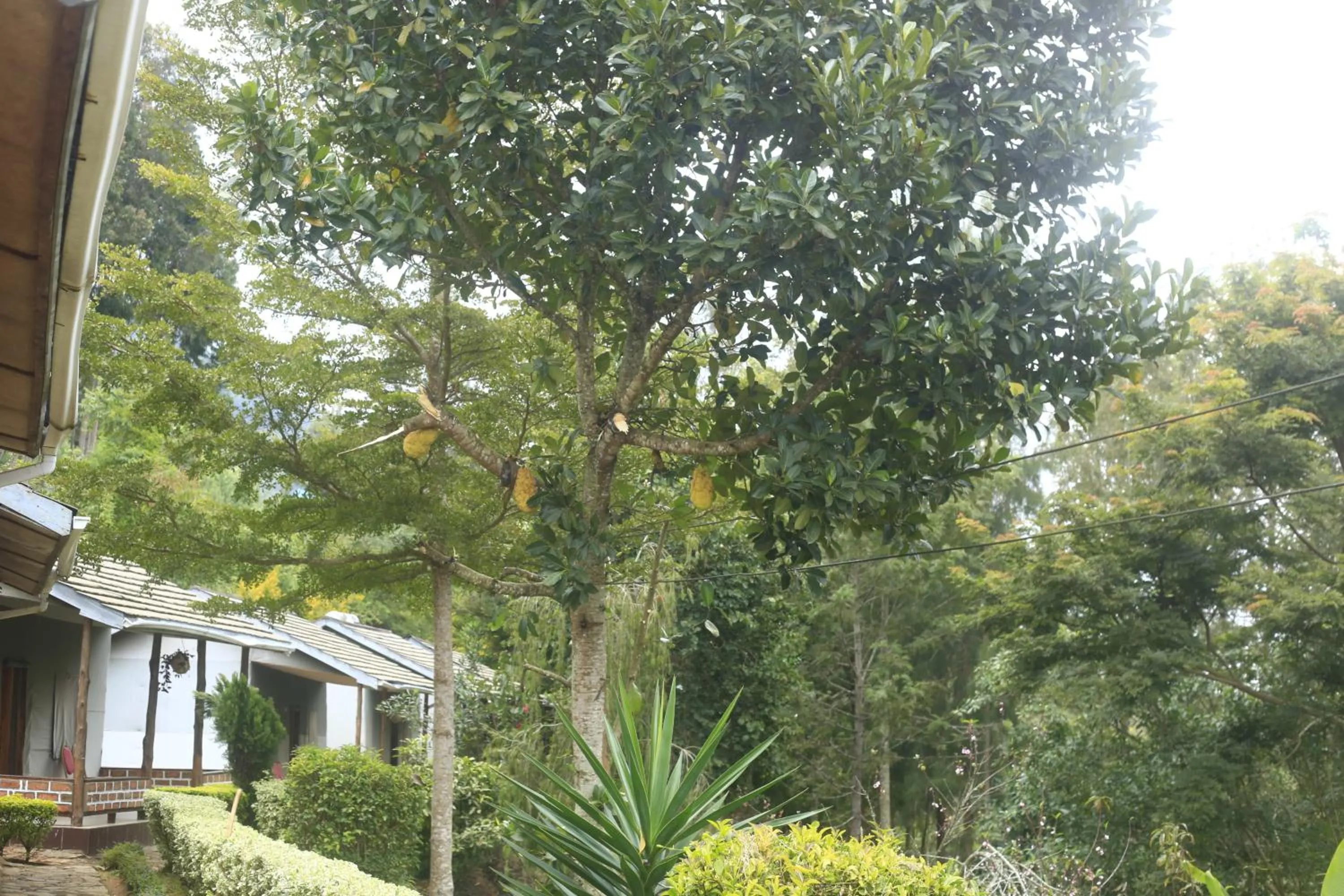 Property building in LUSHOTO EXECUTIVE LODGE