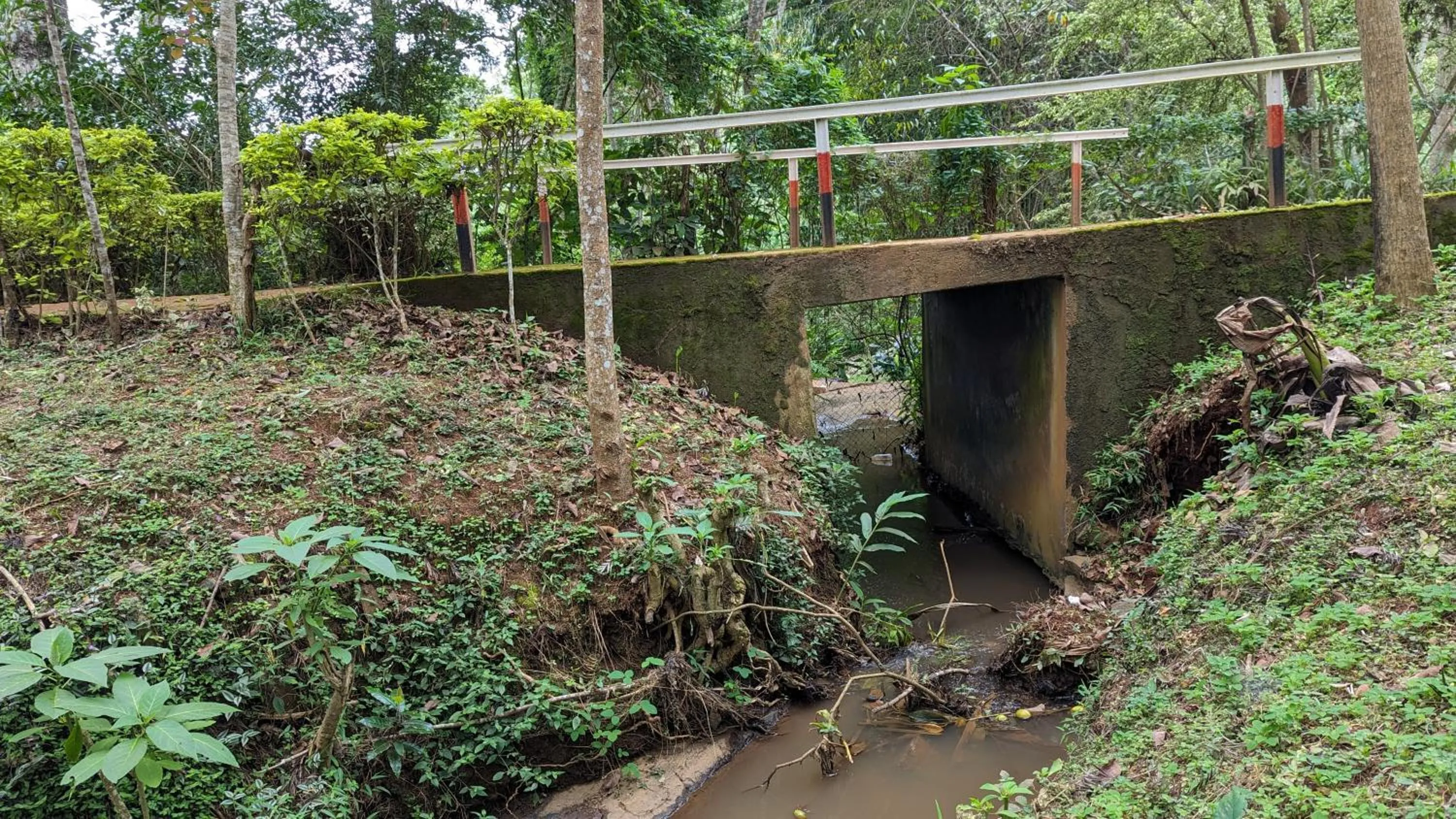 Natural landscape in LUSHOTO EXECUTIVE LODGE