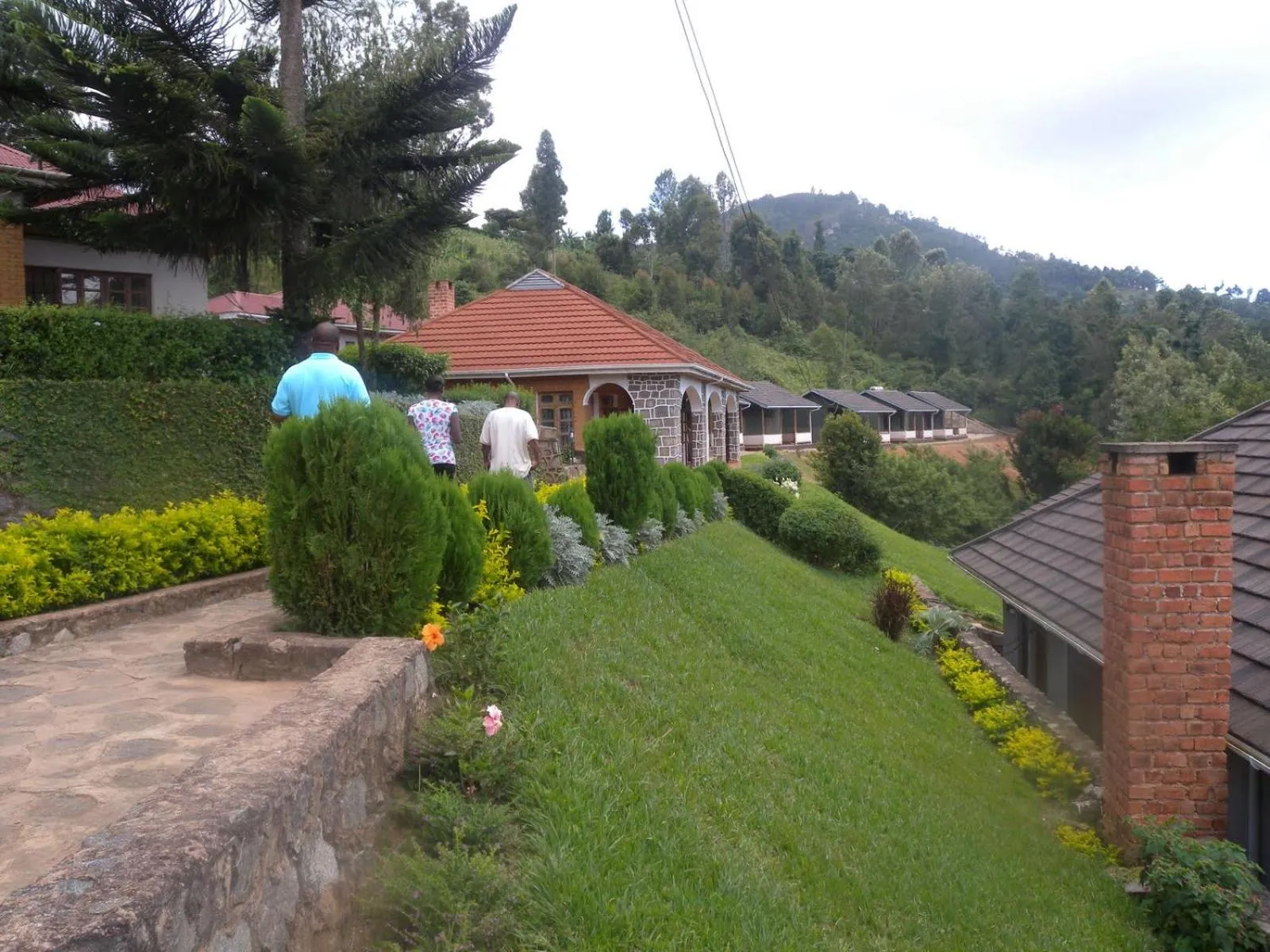 Natural landscape in LUSHOTO EXECUTIVE LODGE