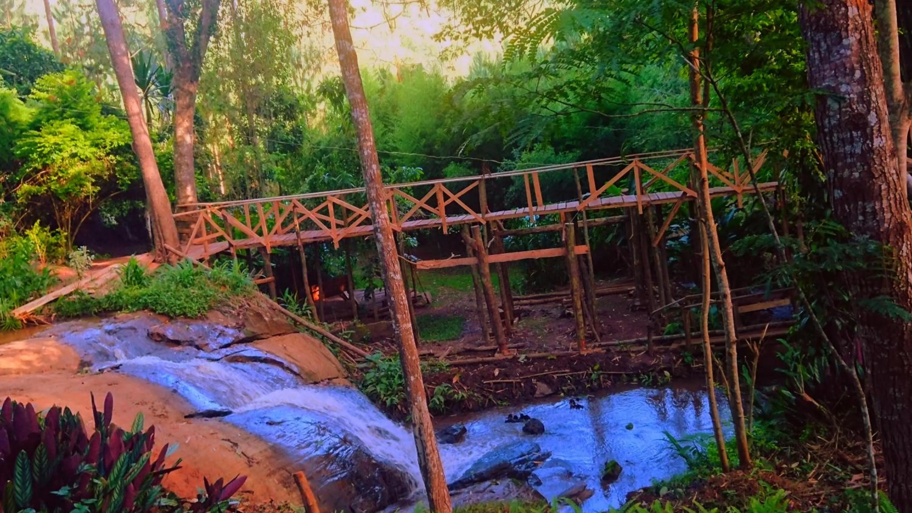 Bird's eye view in LUSHOTO EXECUTIVE LODGE