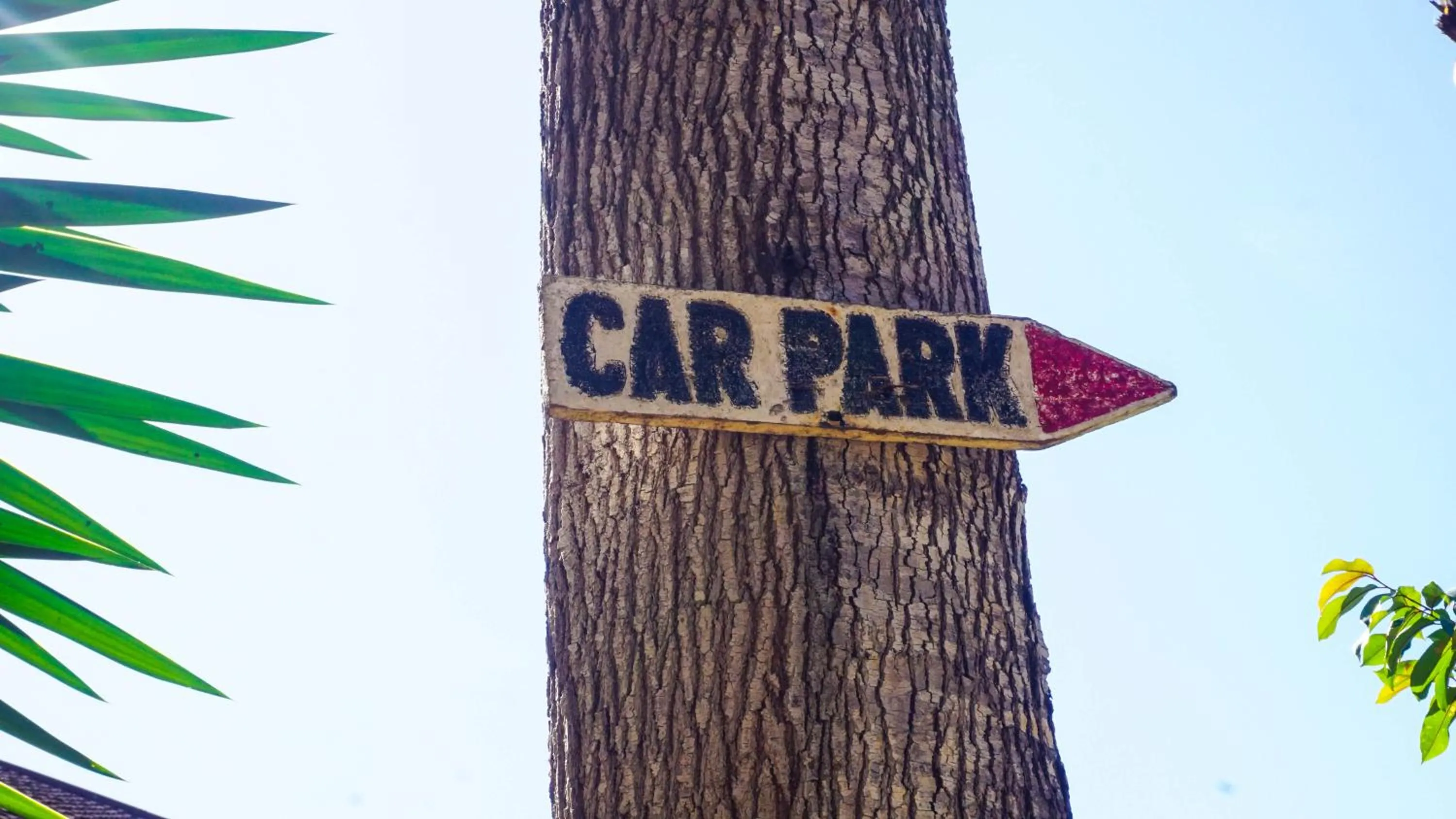 Restaurant/places to eat in LUSHOTO EXECUTIVE LODGE