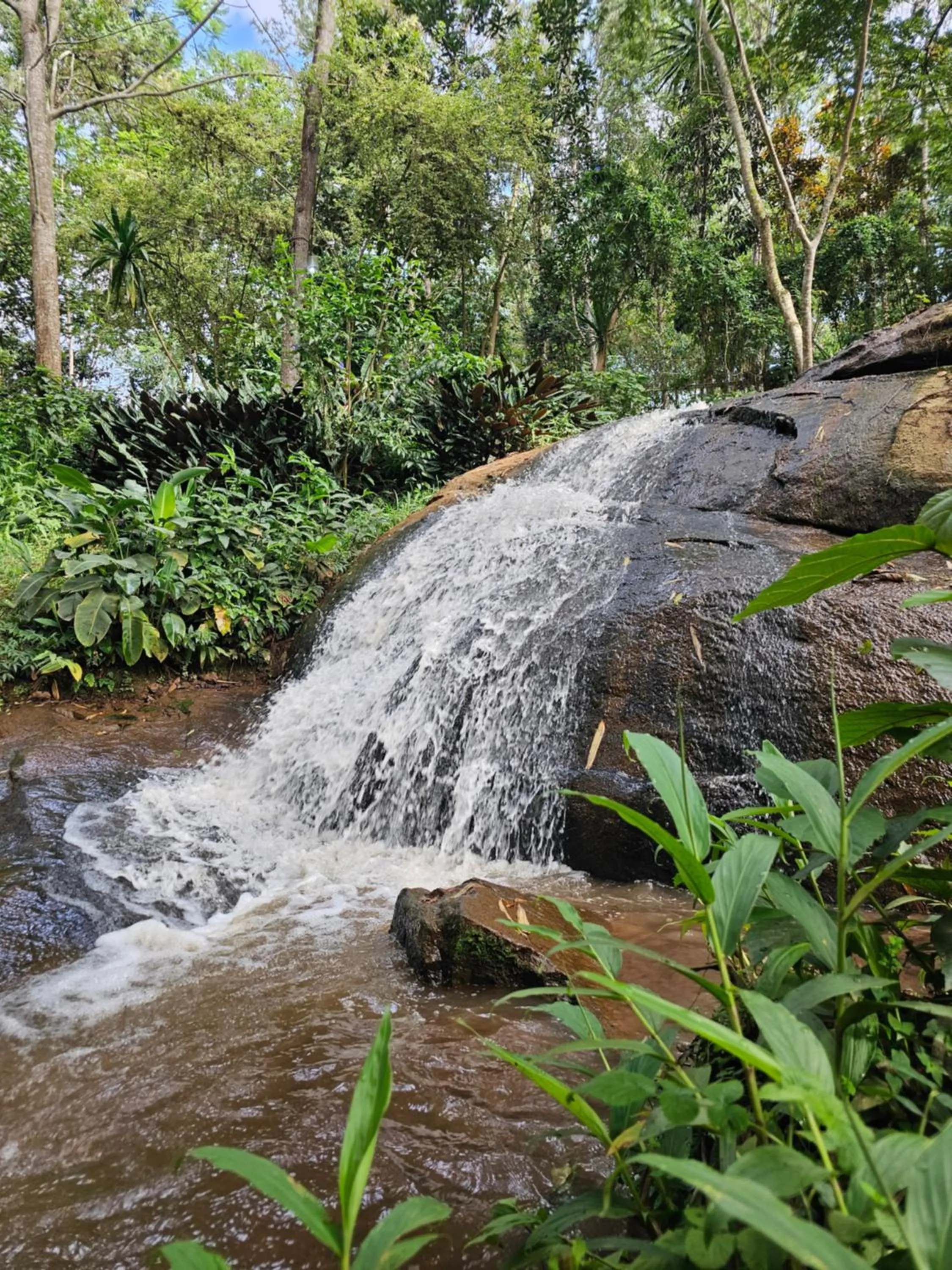 Nearby landmark in LUSHOTO EXECUTIVE LODGE