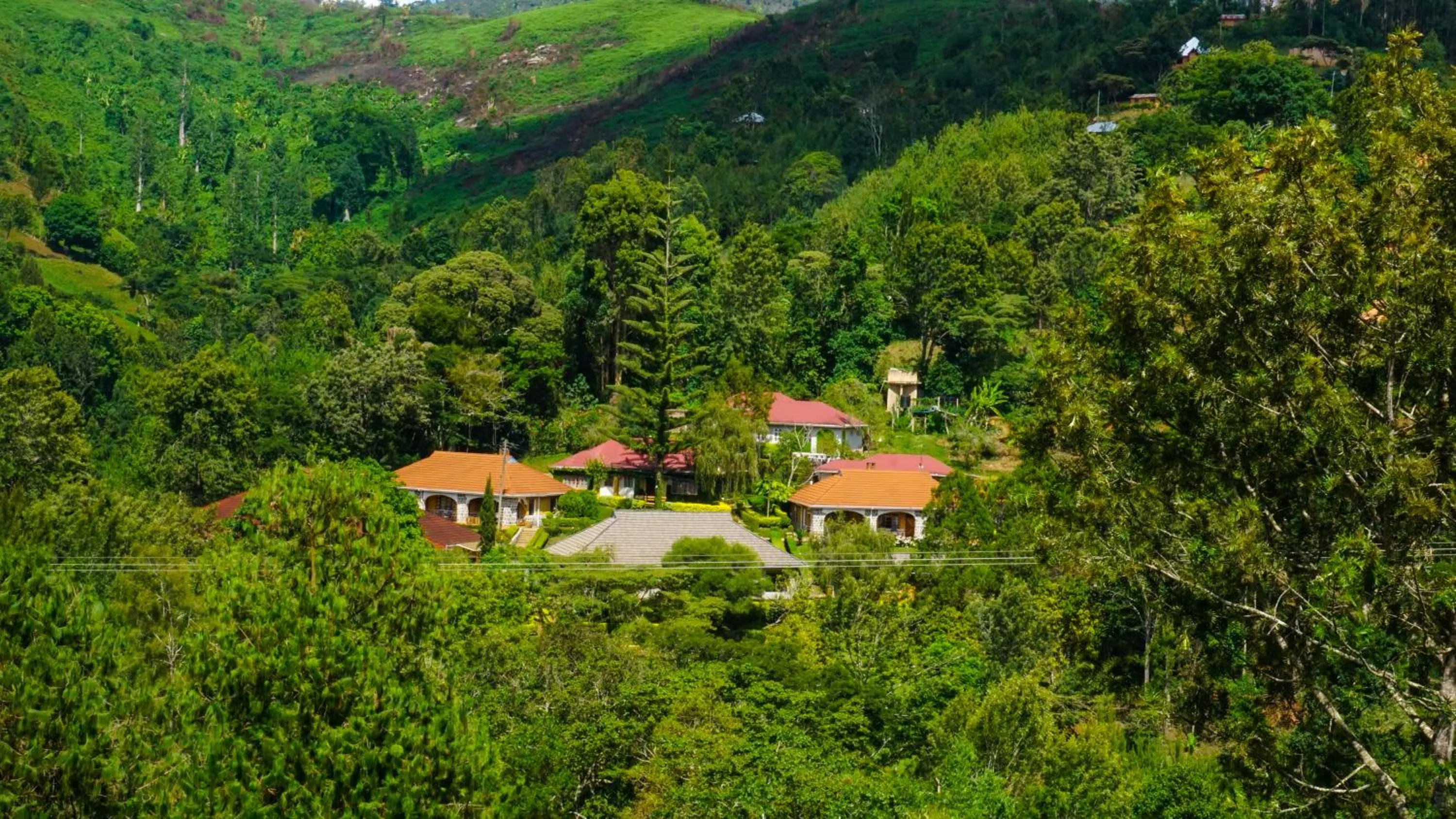 Garden in LUSHOTO EXECUTIVE LODGE
