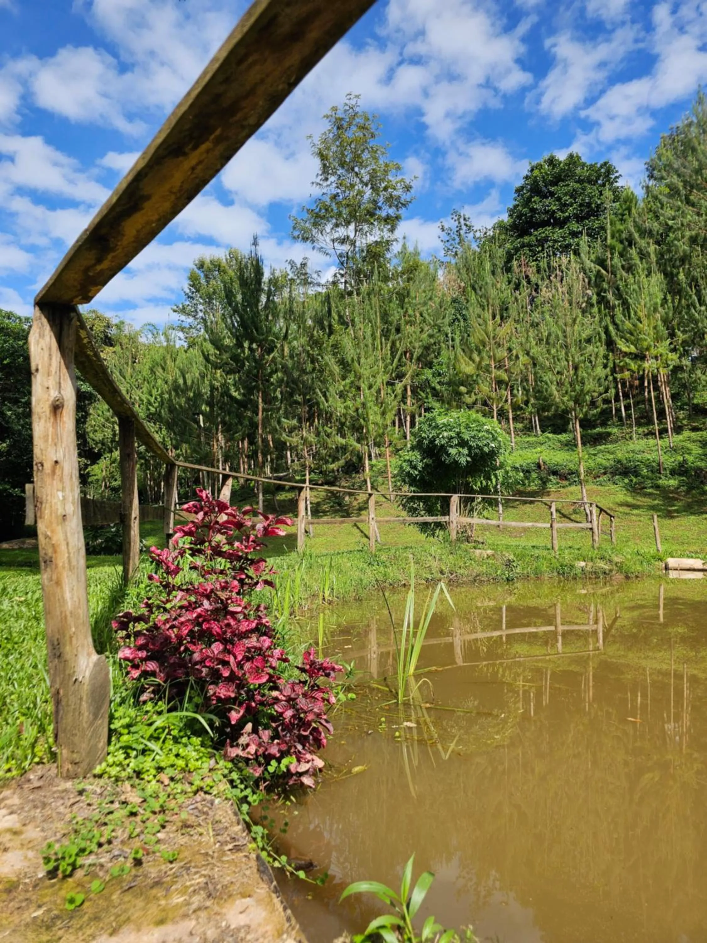 Natural landscape in LUSHOTO EXECUTIVE LODGE