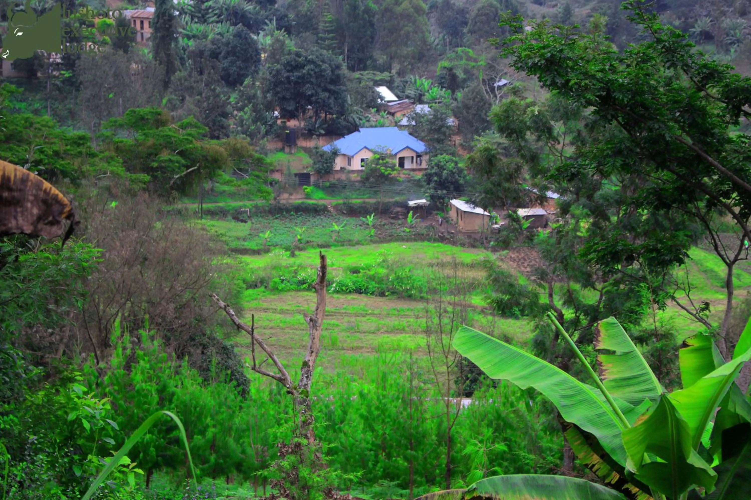 Neighbourhood in LUSHOTO EXECUTIVE LODGE