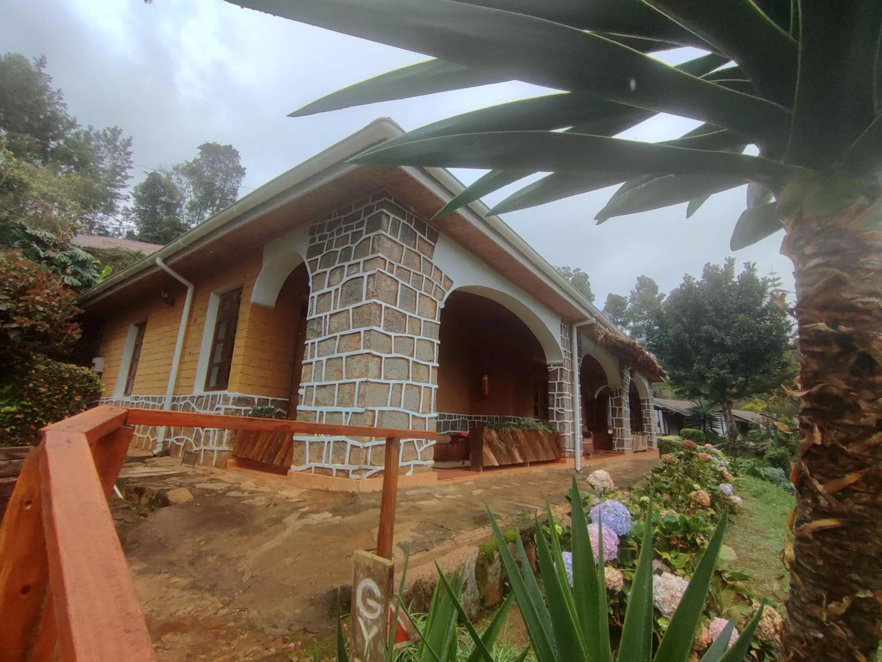 View (from property/room) in LUSHOTO EXECUTIVE LODGE
