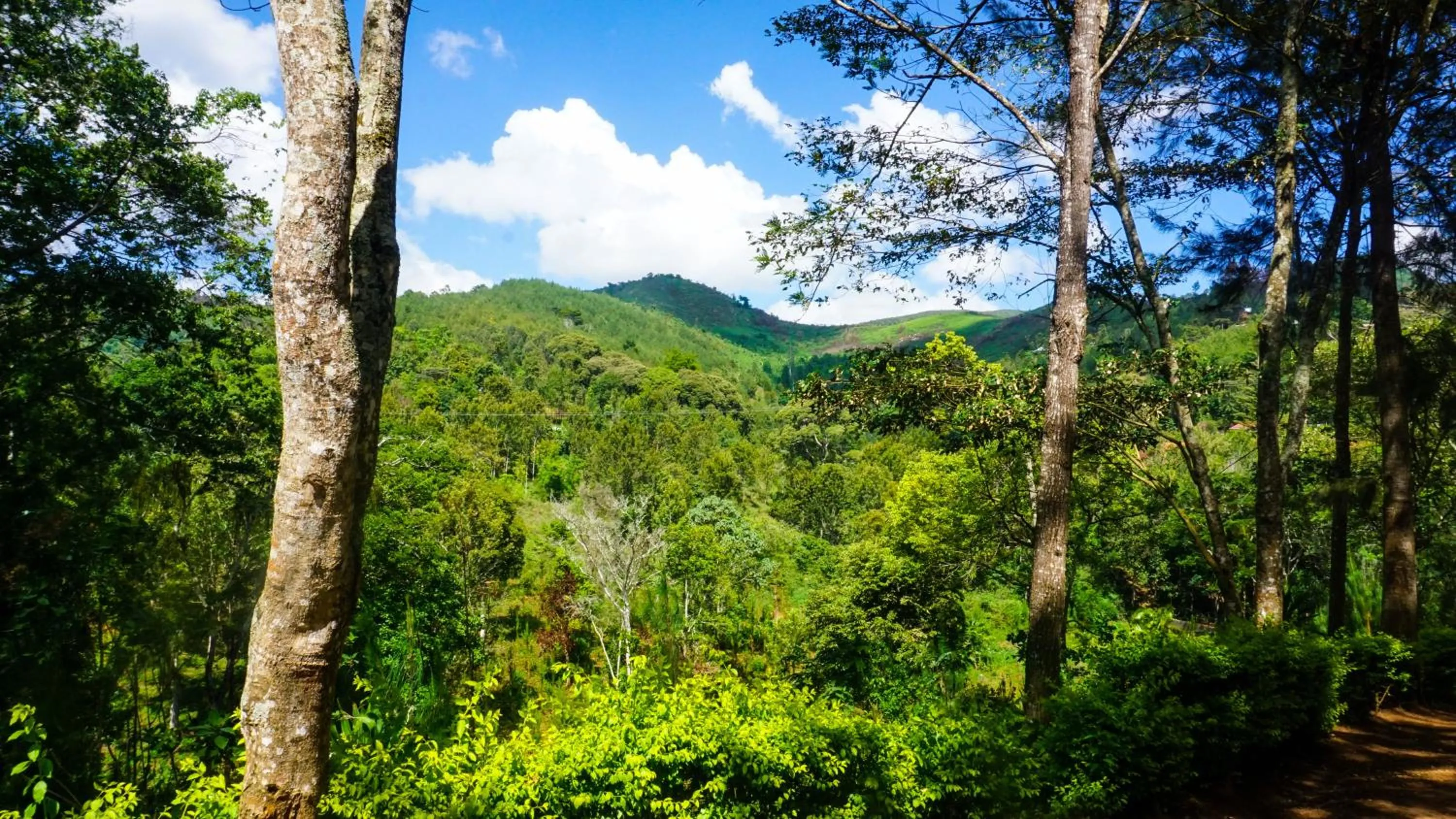 Landmark view in LUSHOTO EXECUTIVE LODGE
