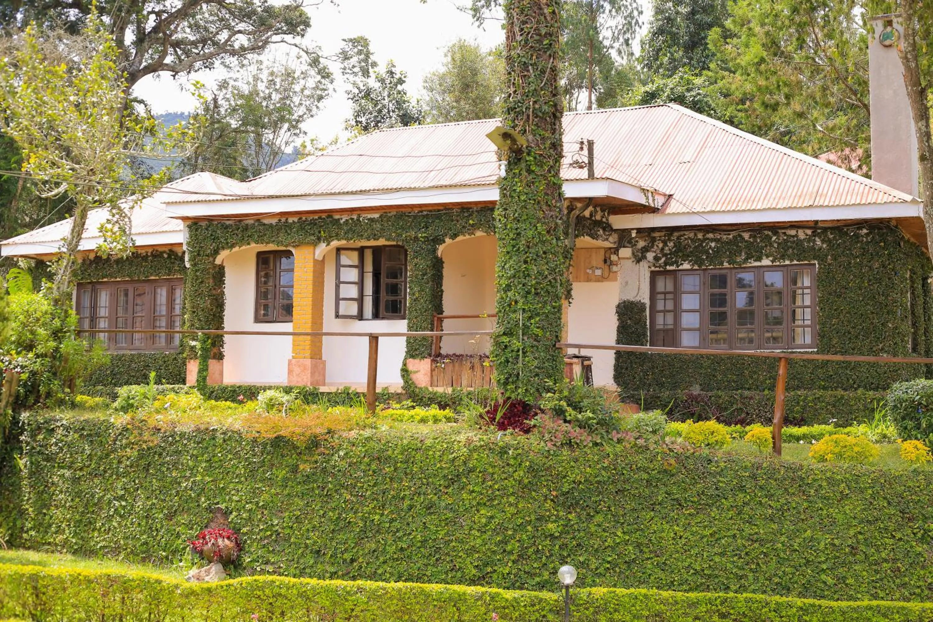 Garden view in LUSHOTO EXECUTIVE LODGE