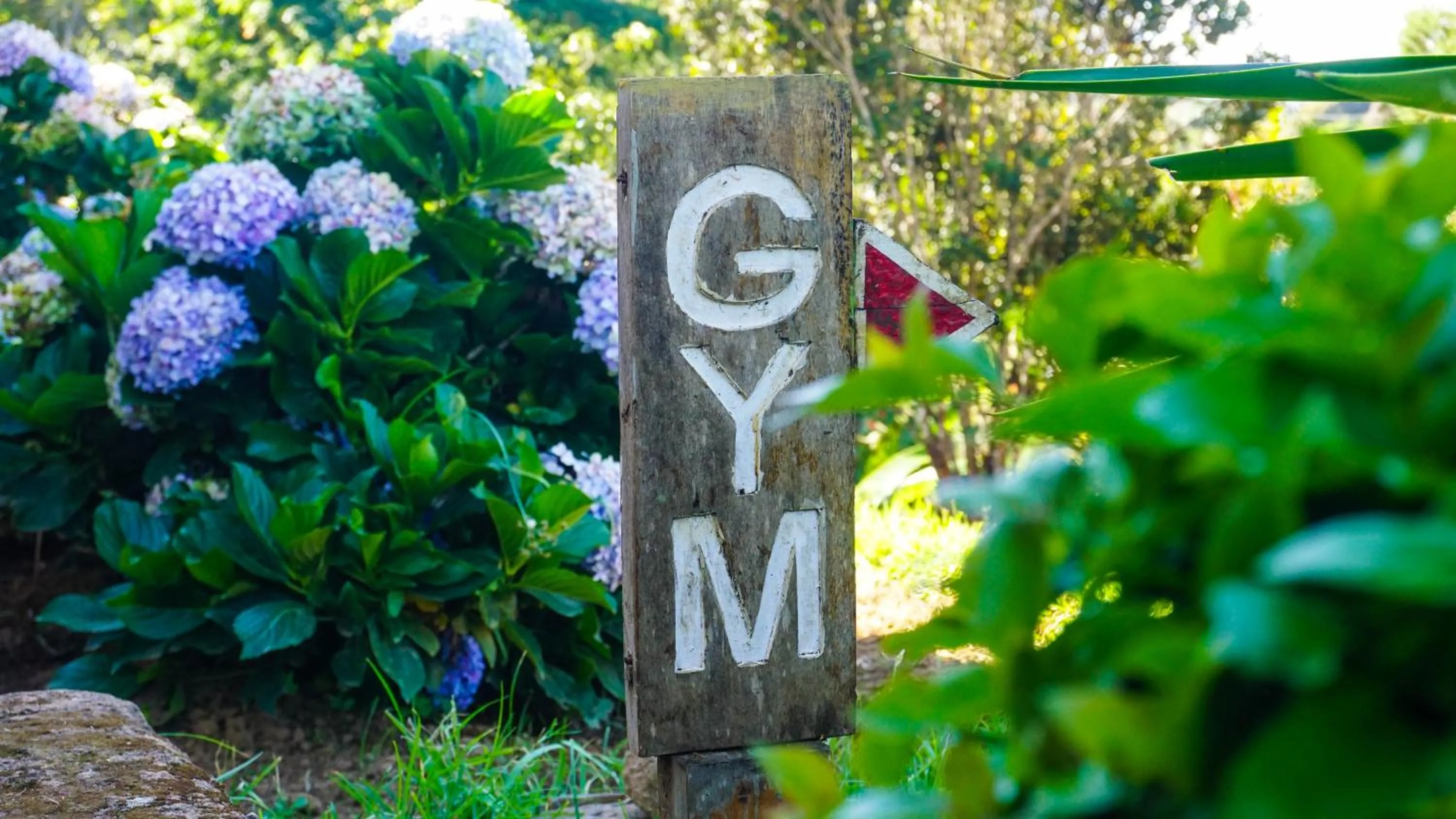 Fitness centre/facilities in LUSHOTO EXECUTIVE LODGE