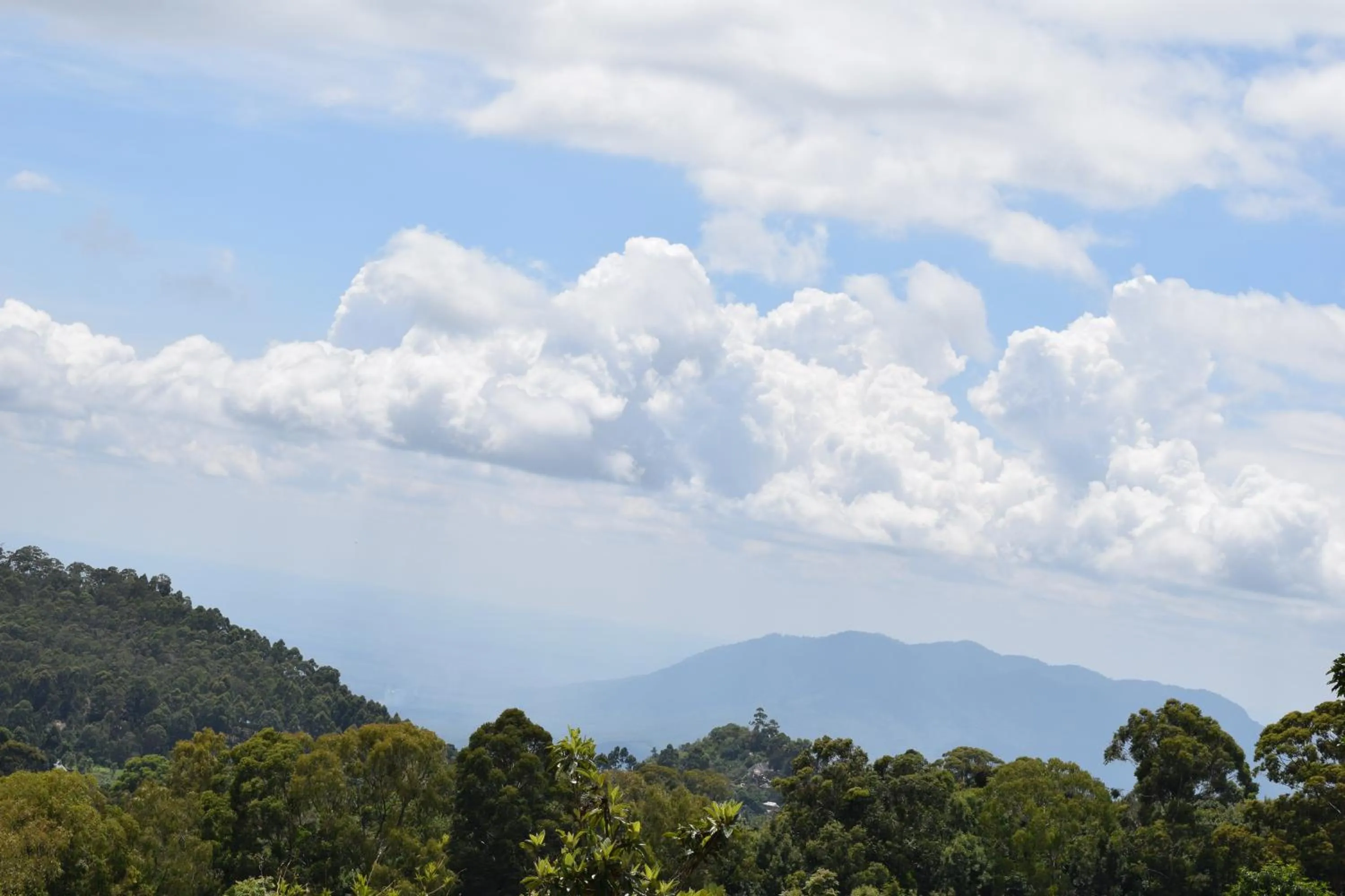 Off site in LUSHOTO EXECUTIVE LODGE