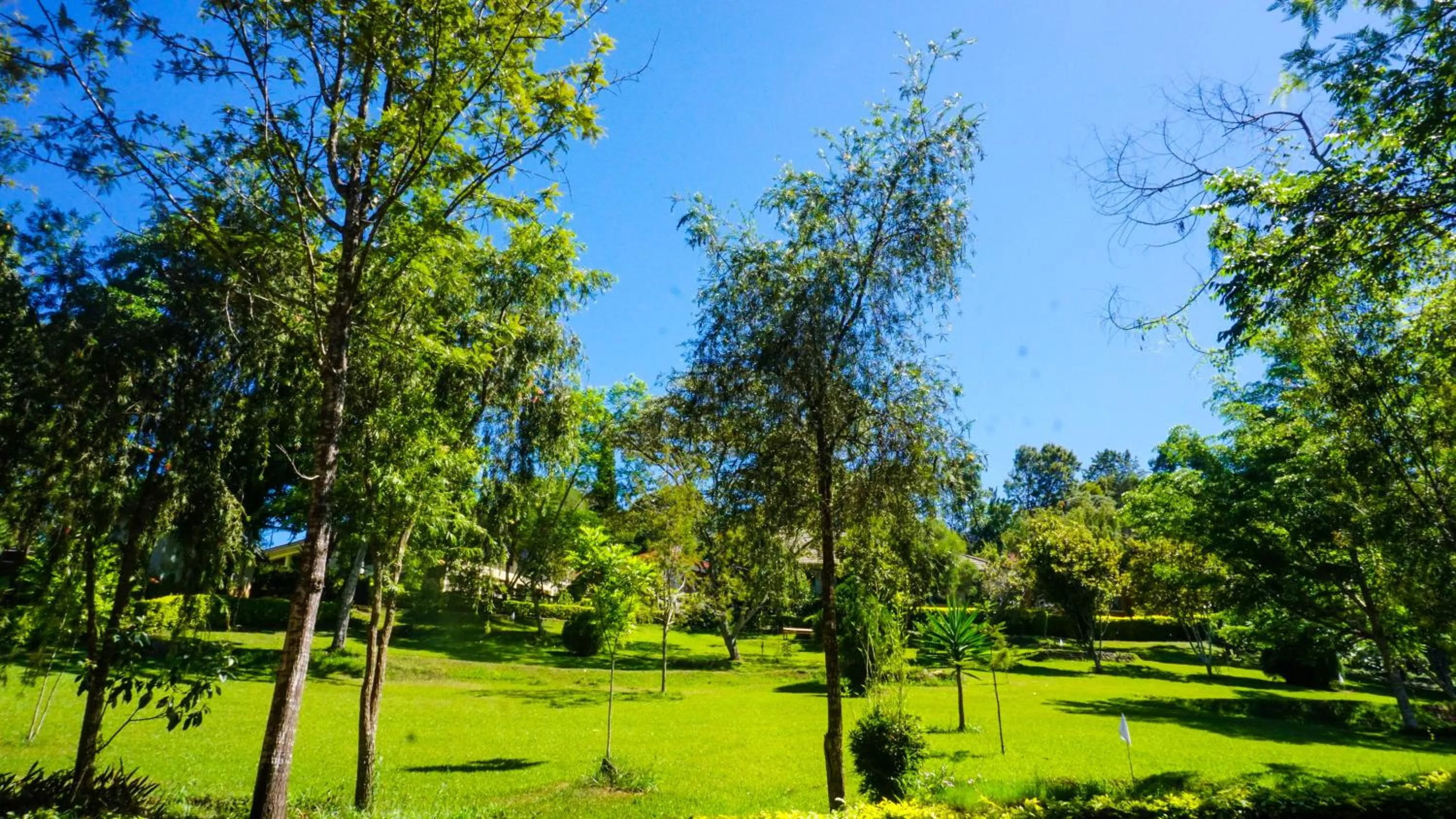 Day in LUSHOTO EXECUTIVE LODGE